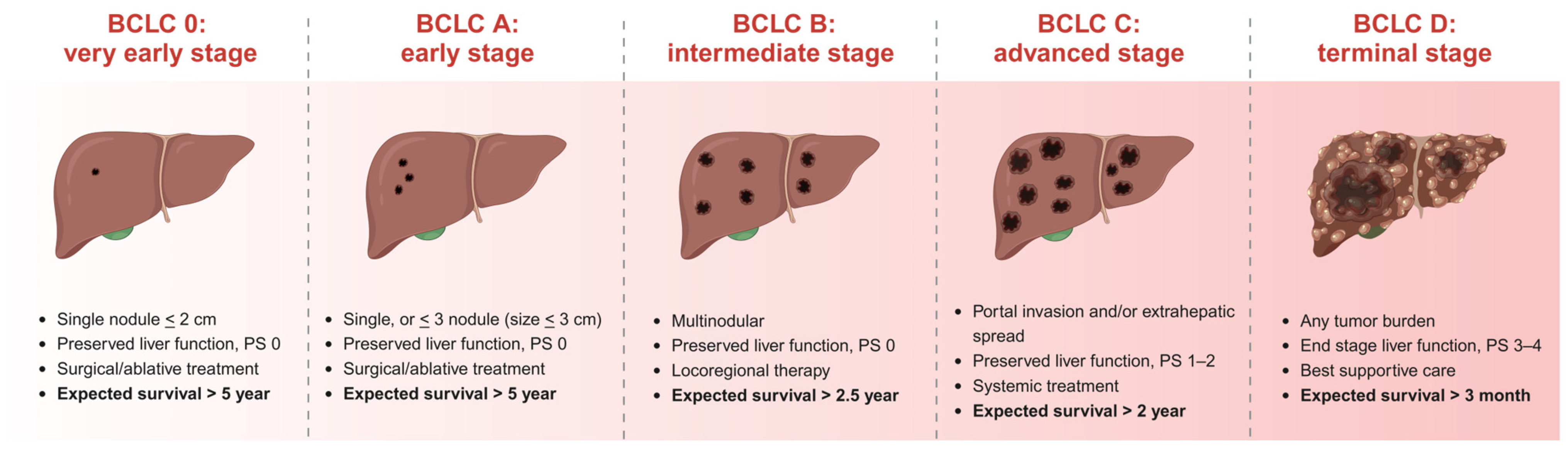 Metabolites 14 00325 g005