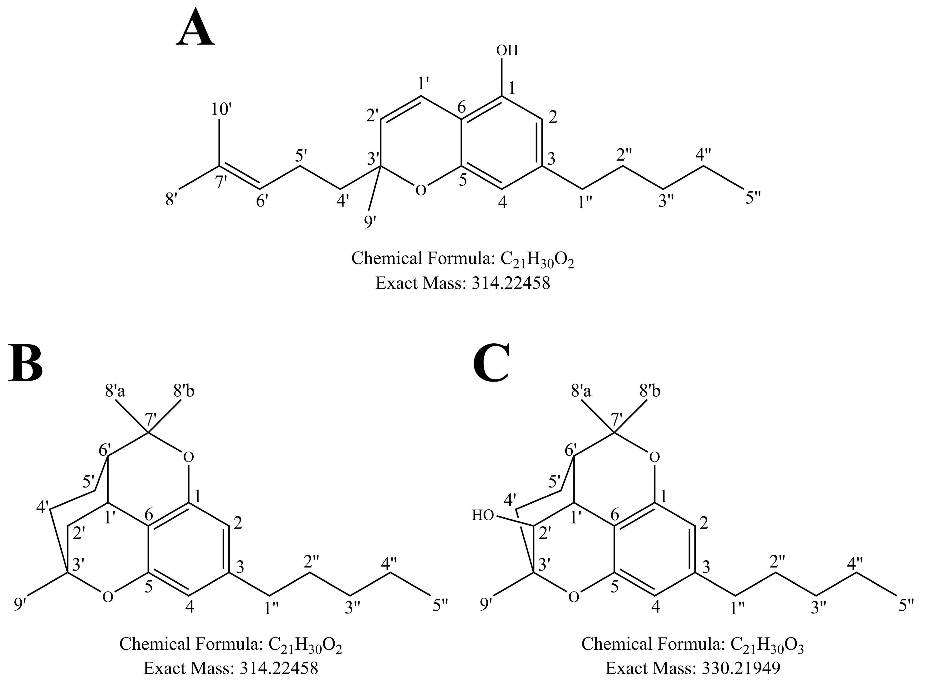 Metabolites 14 00329 g001