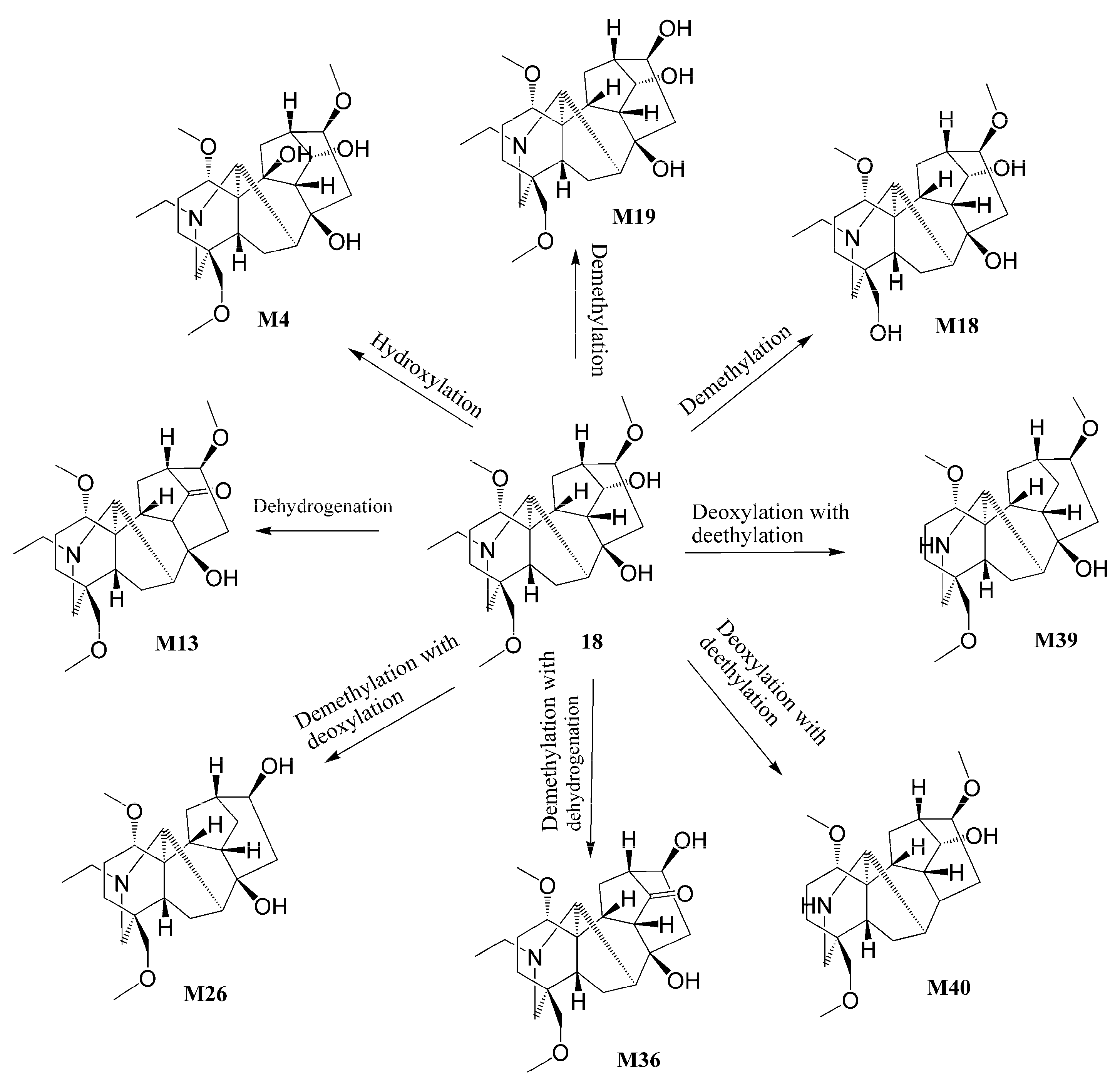 Metabolites 14 00333 g004