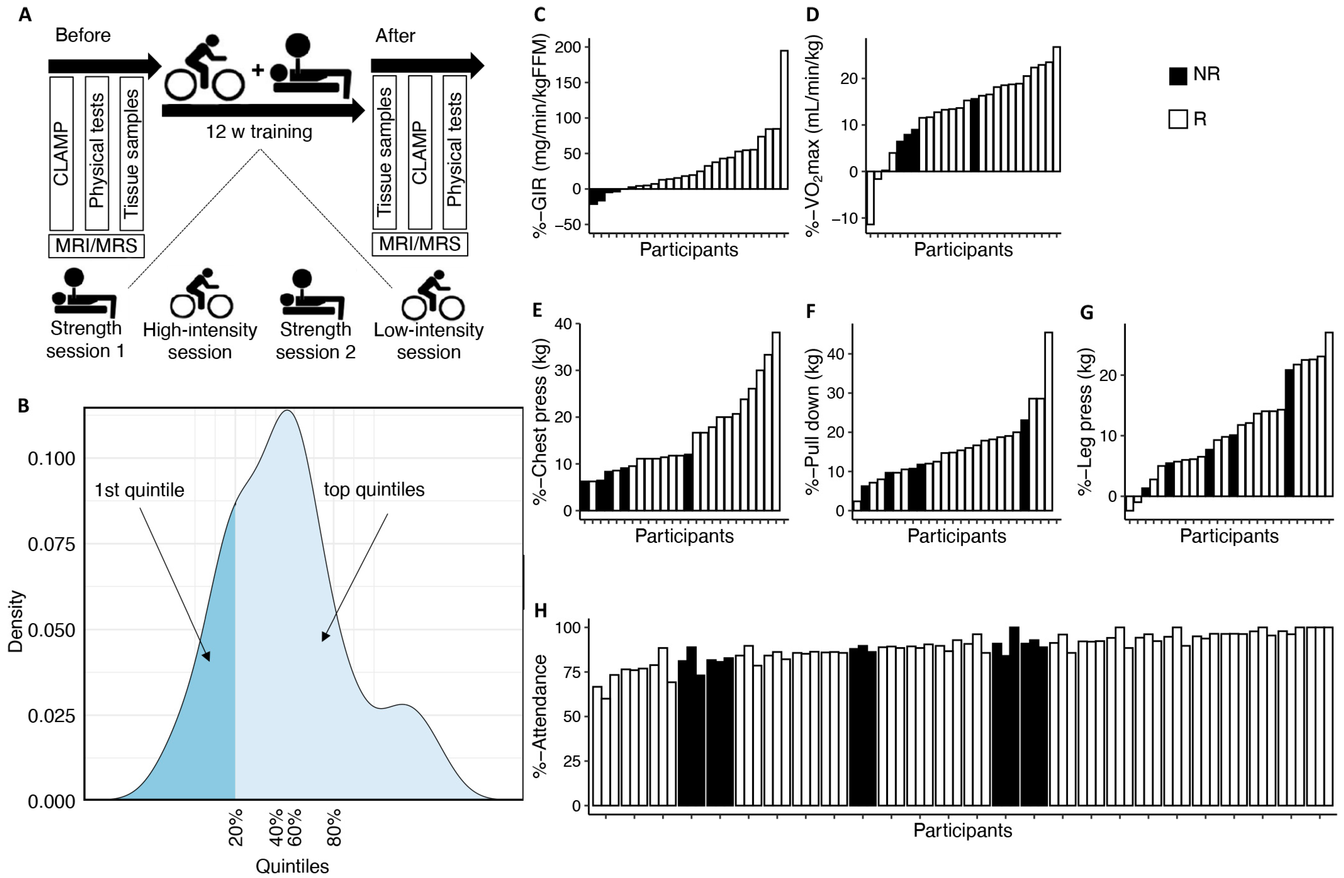 Metabolites 14 00335 g001
