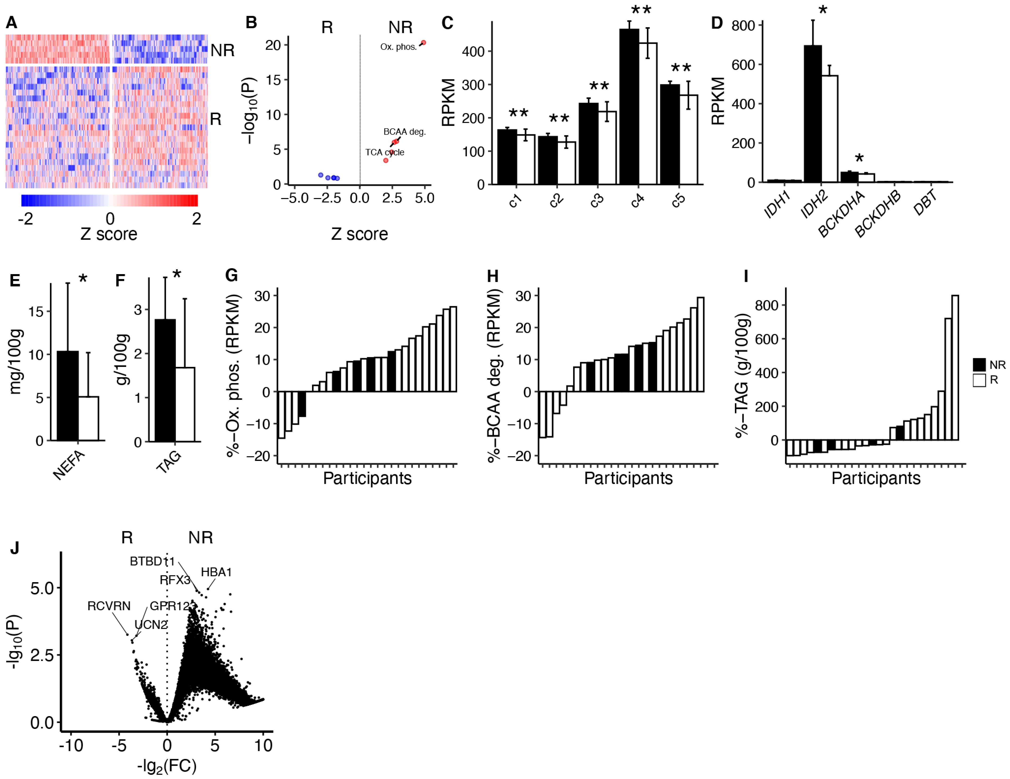 Metabolites 14 00335 g002
