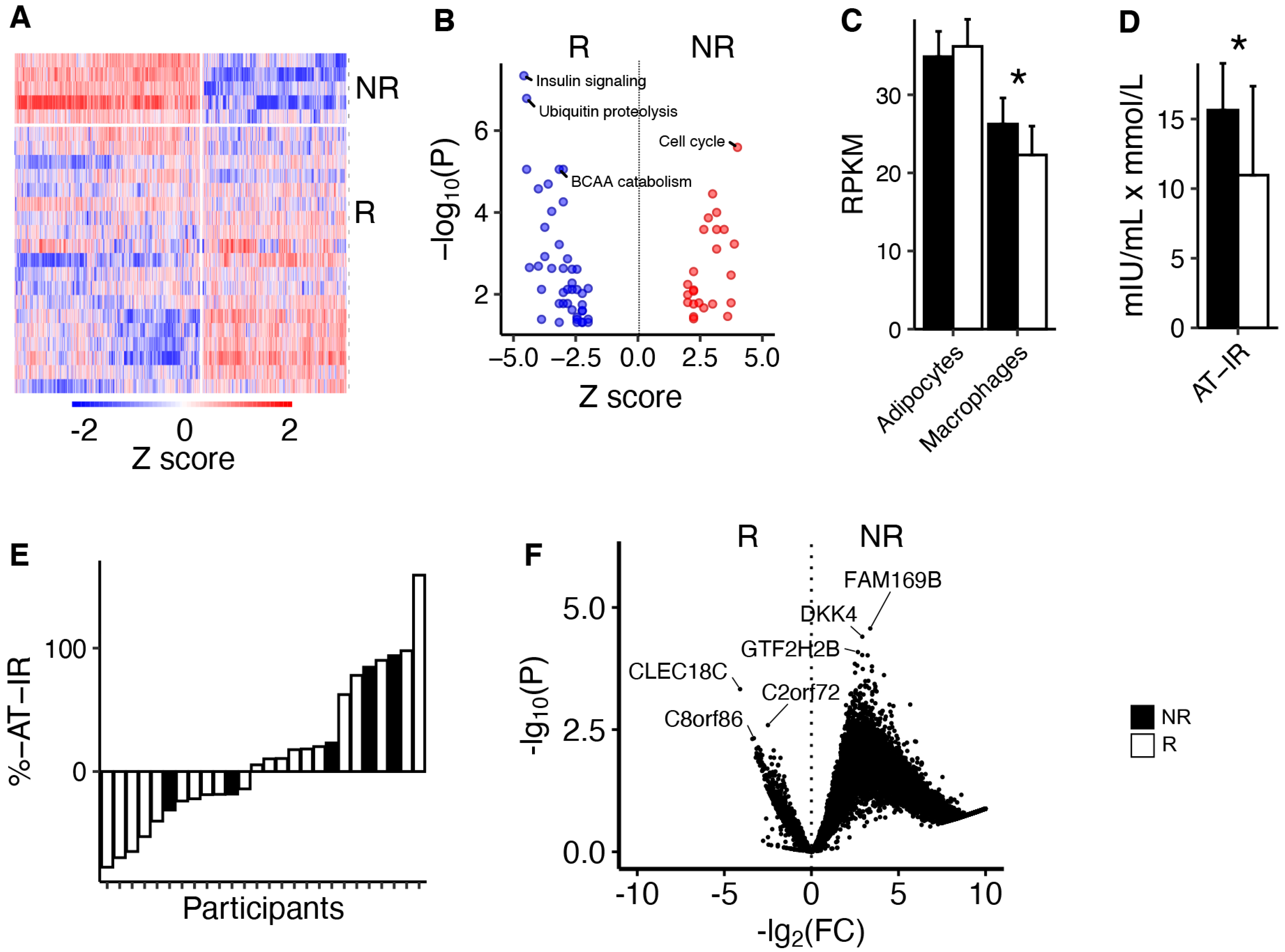 Metabolites 14 00335 g003