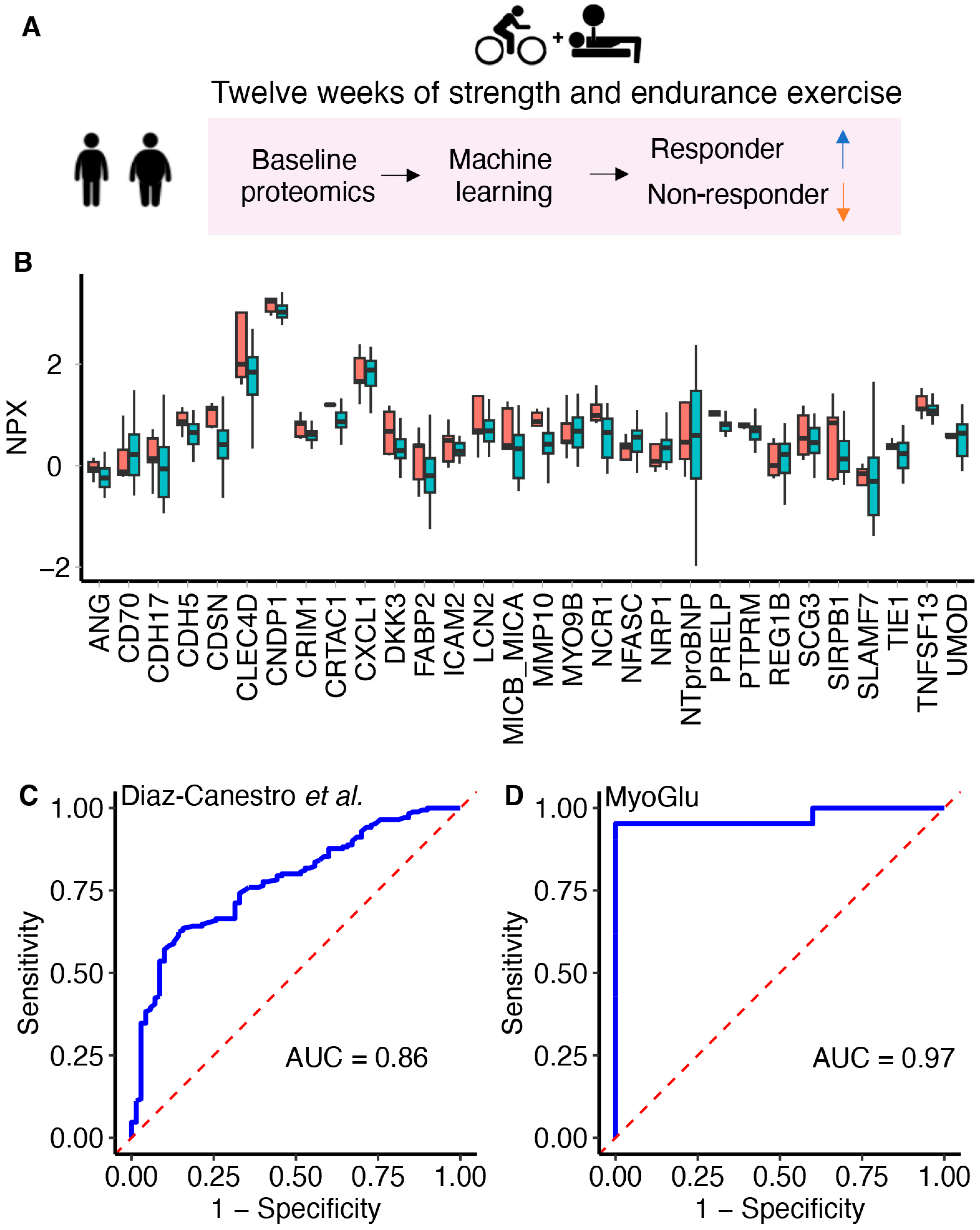 Metabolites 14 00335 g004