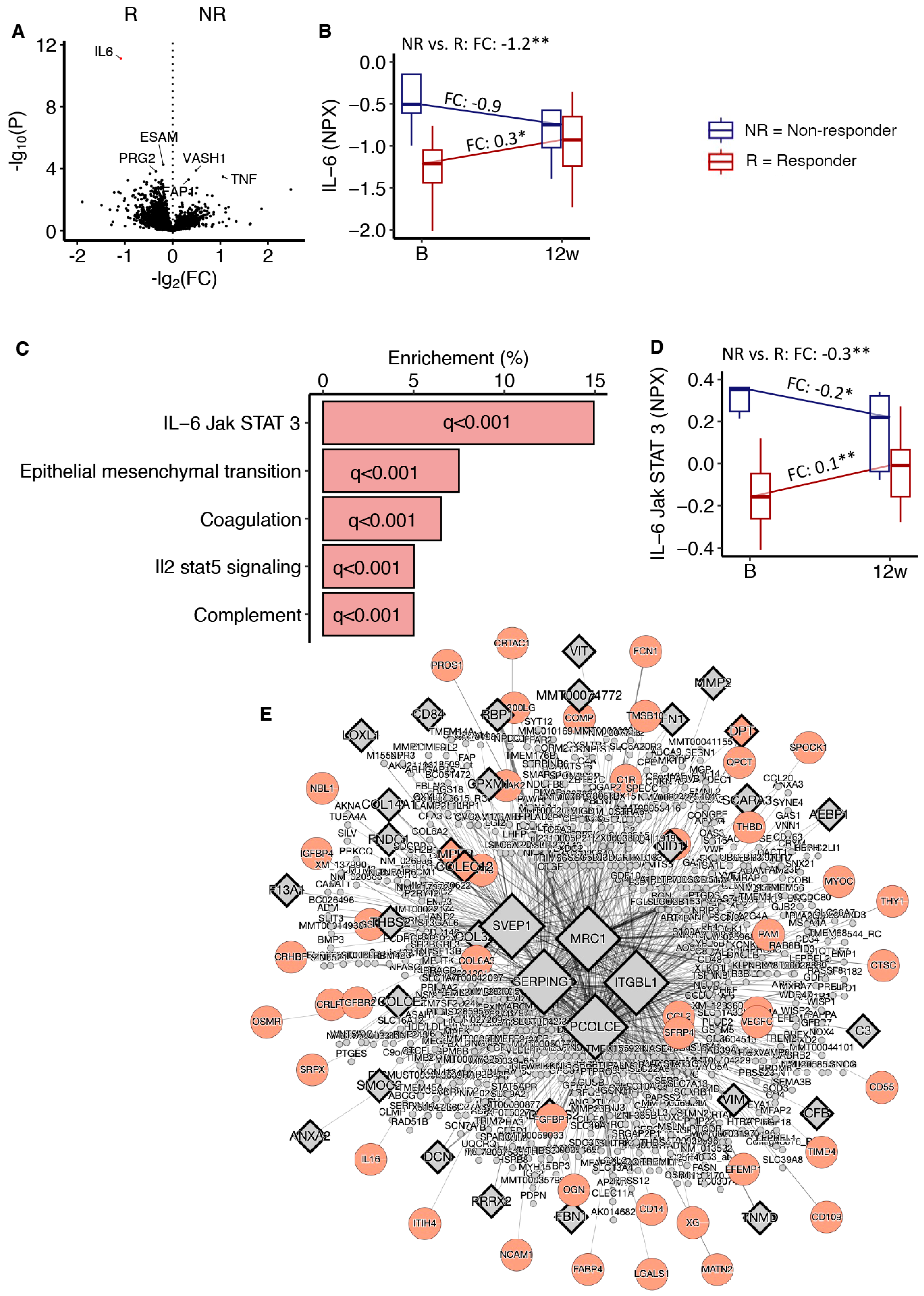 Metabolites 14 00335 g005