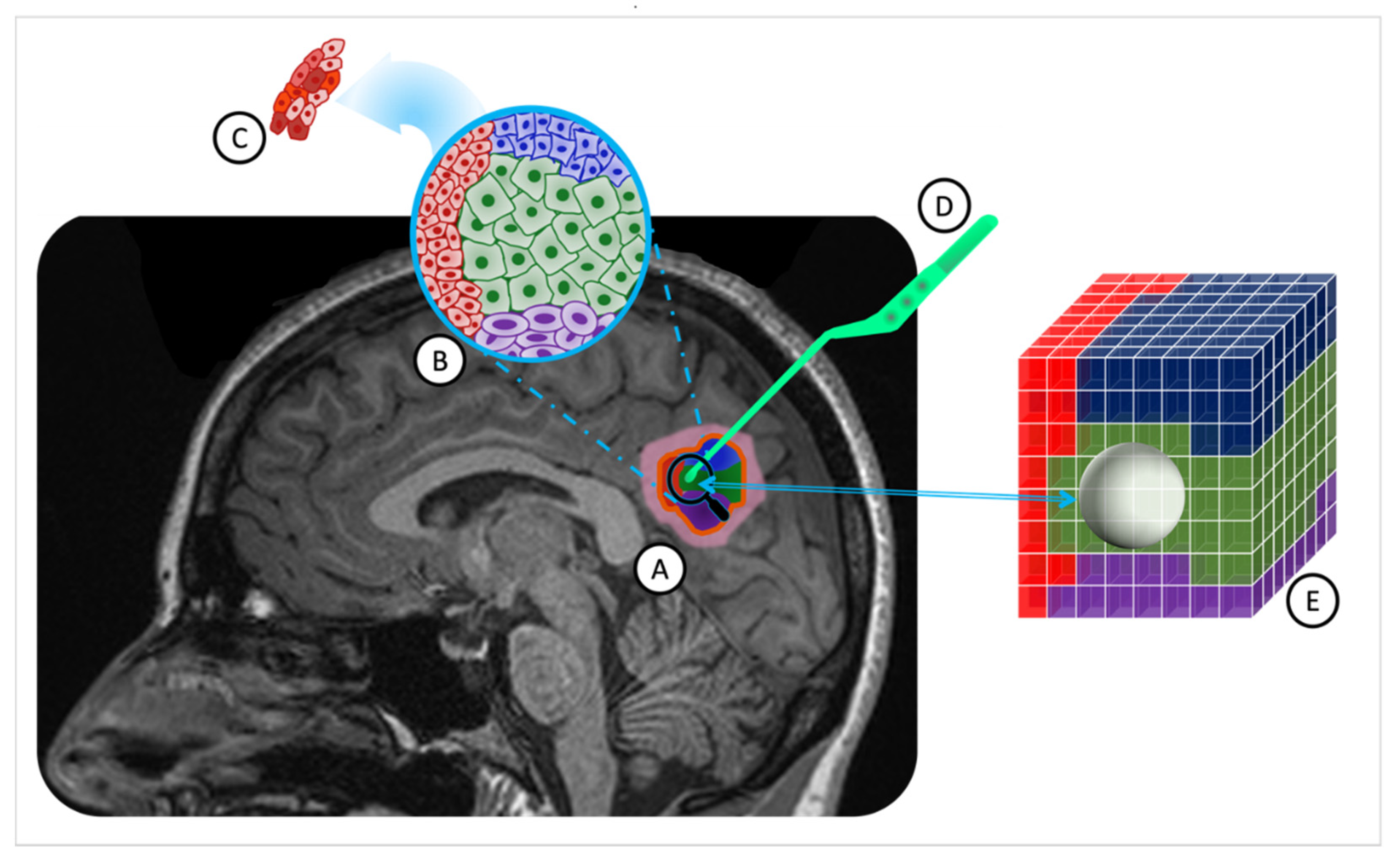 Metabolites 14 00337 g001 Metabolites 14 00337 g001