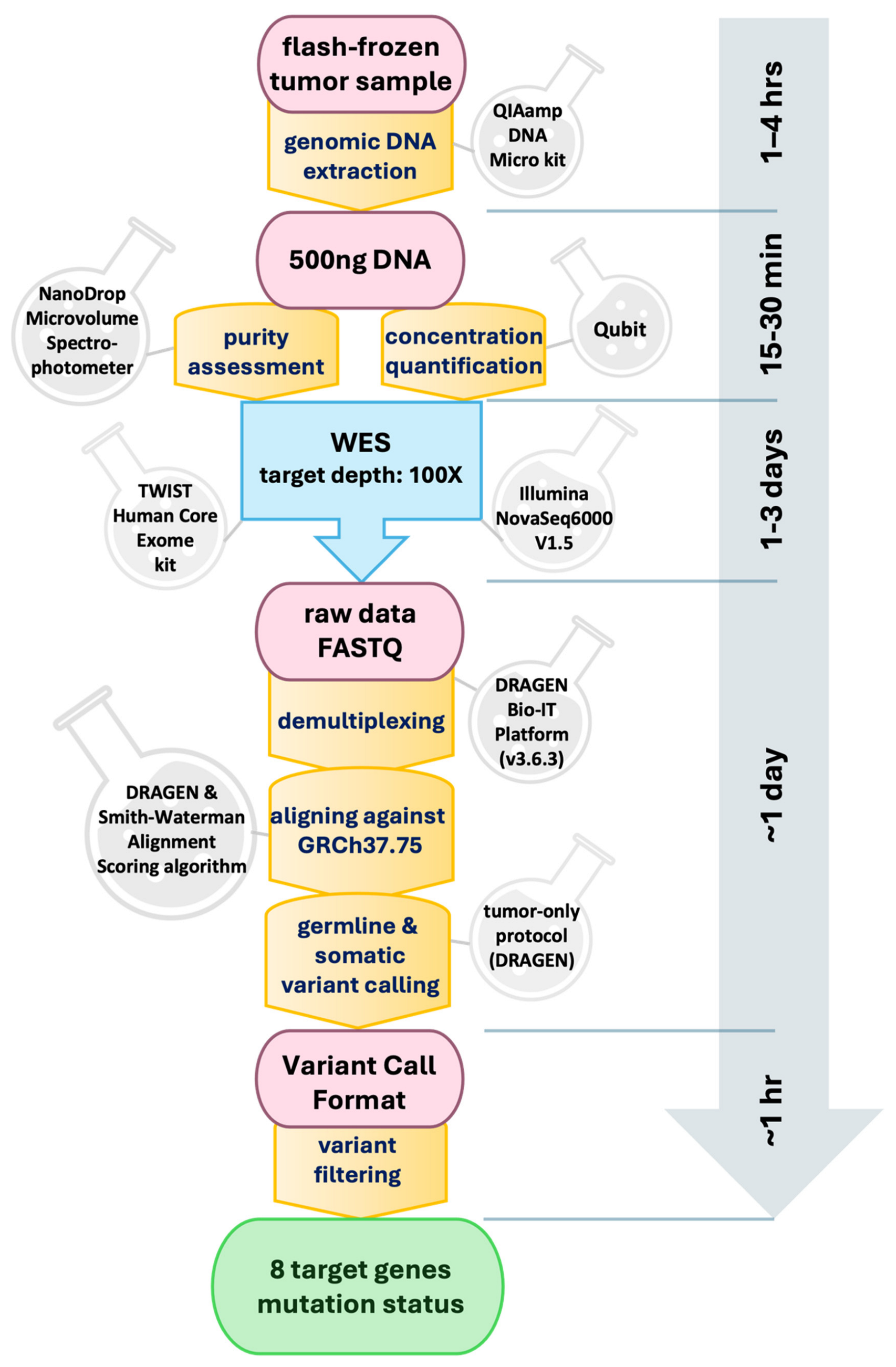 Metabolites 14 00337 g002 Metabolites 14 00337 g002
