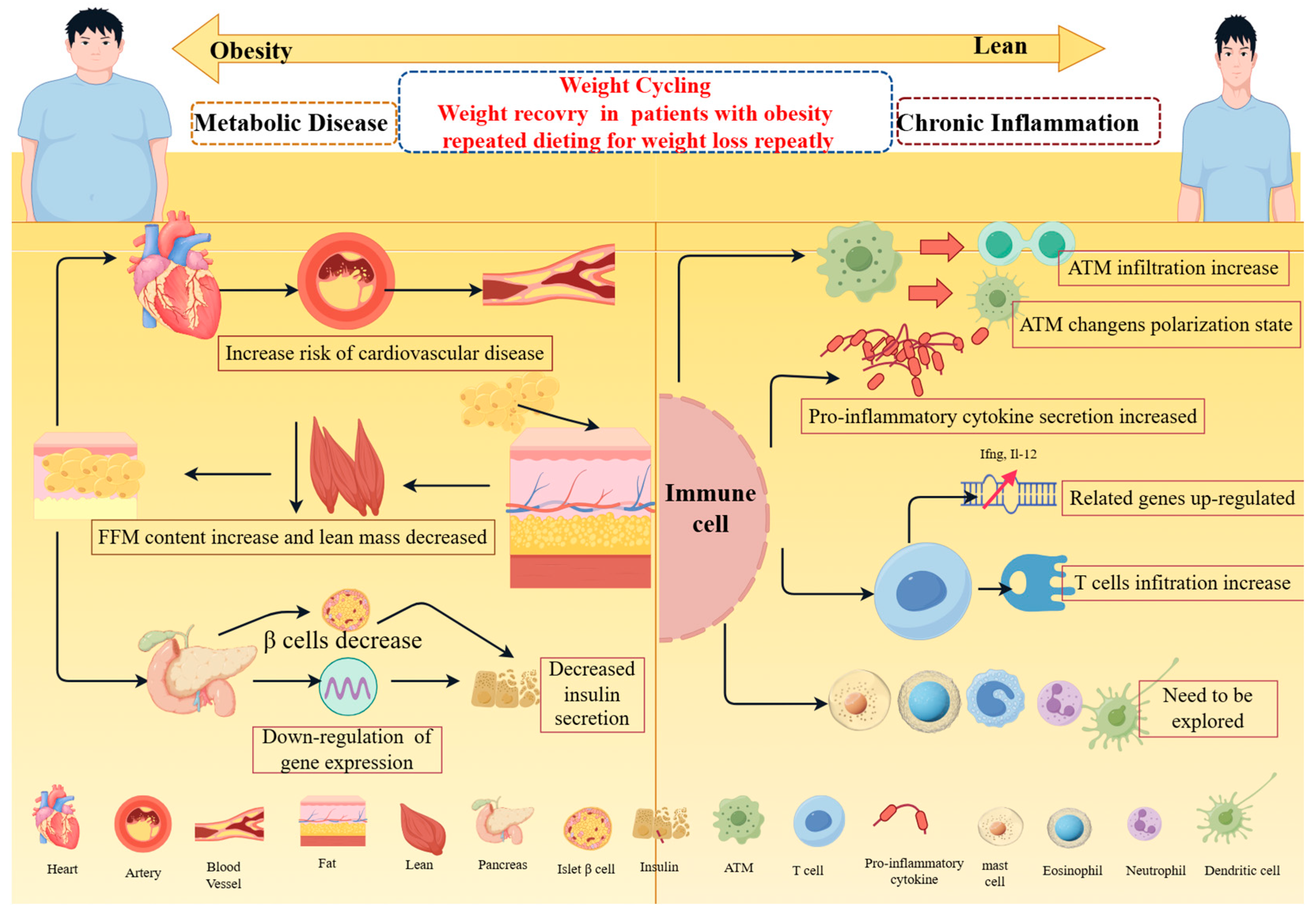 Metabolites 14 00344 g001