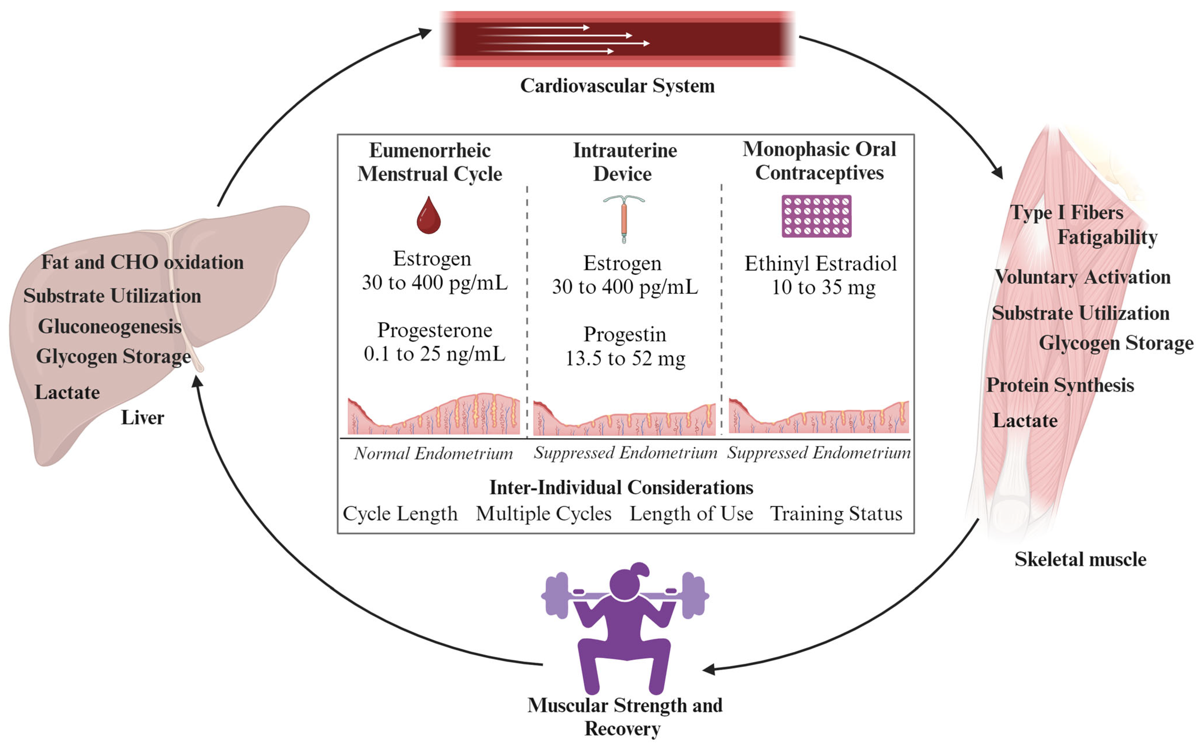 Metabolites 14 00347 g002