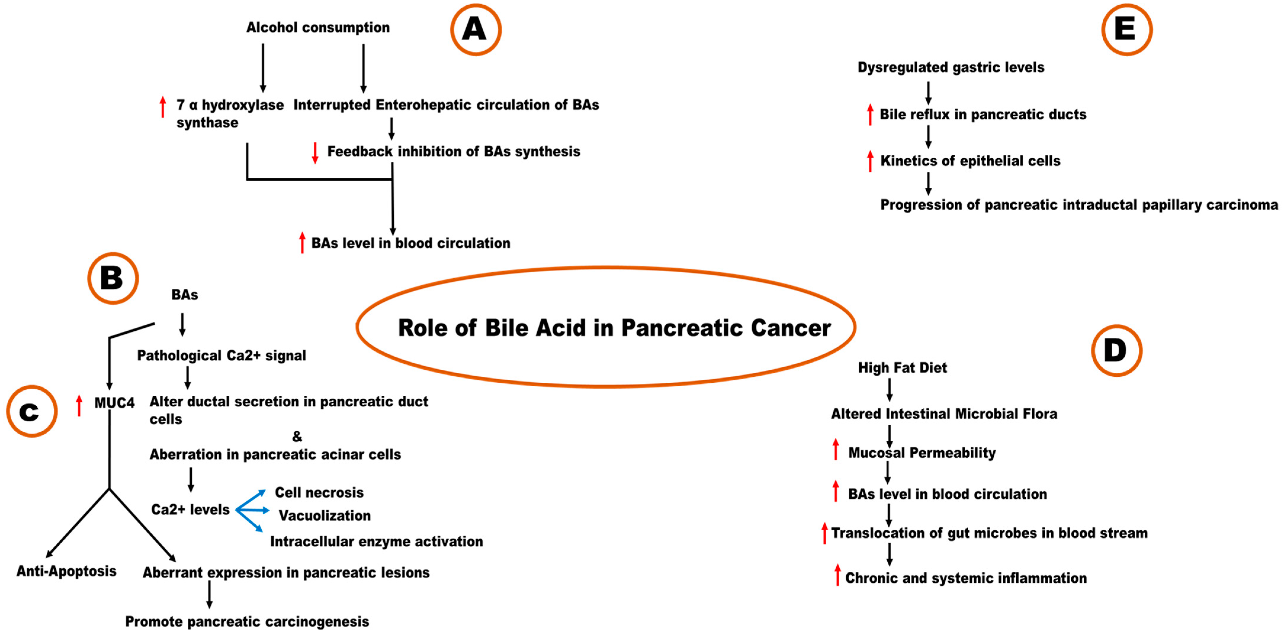 Metabolites 14 00348 g004