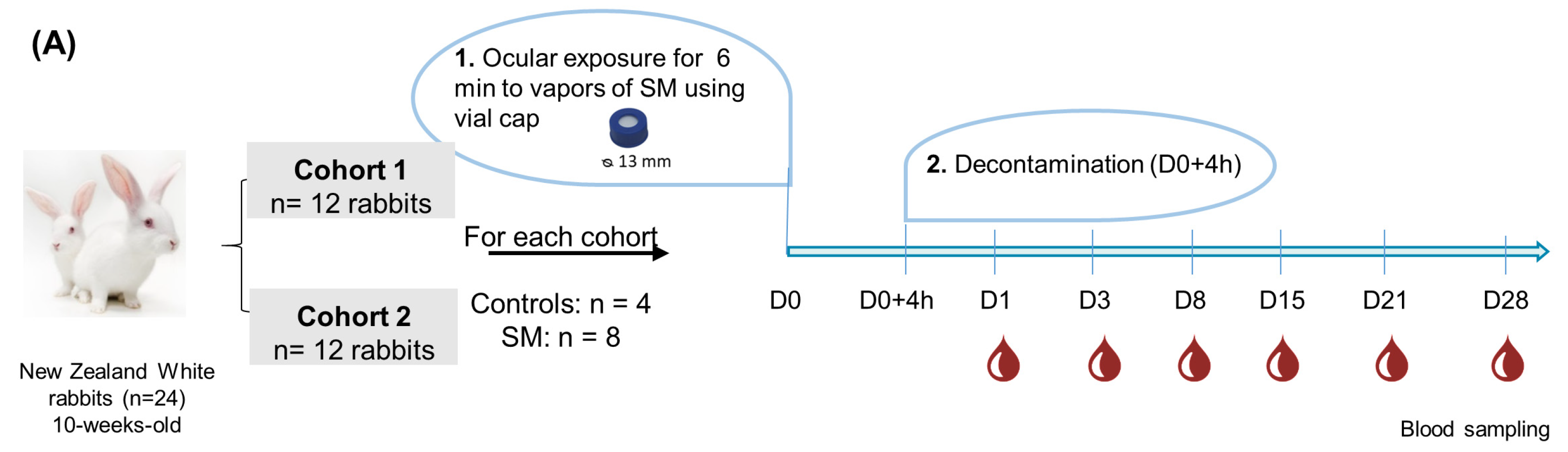 Metabolites 14 00349 g001a