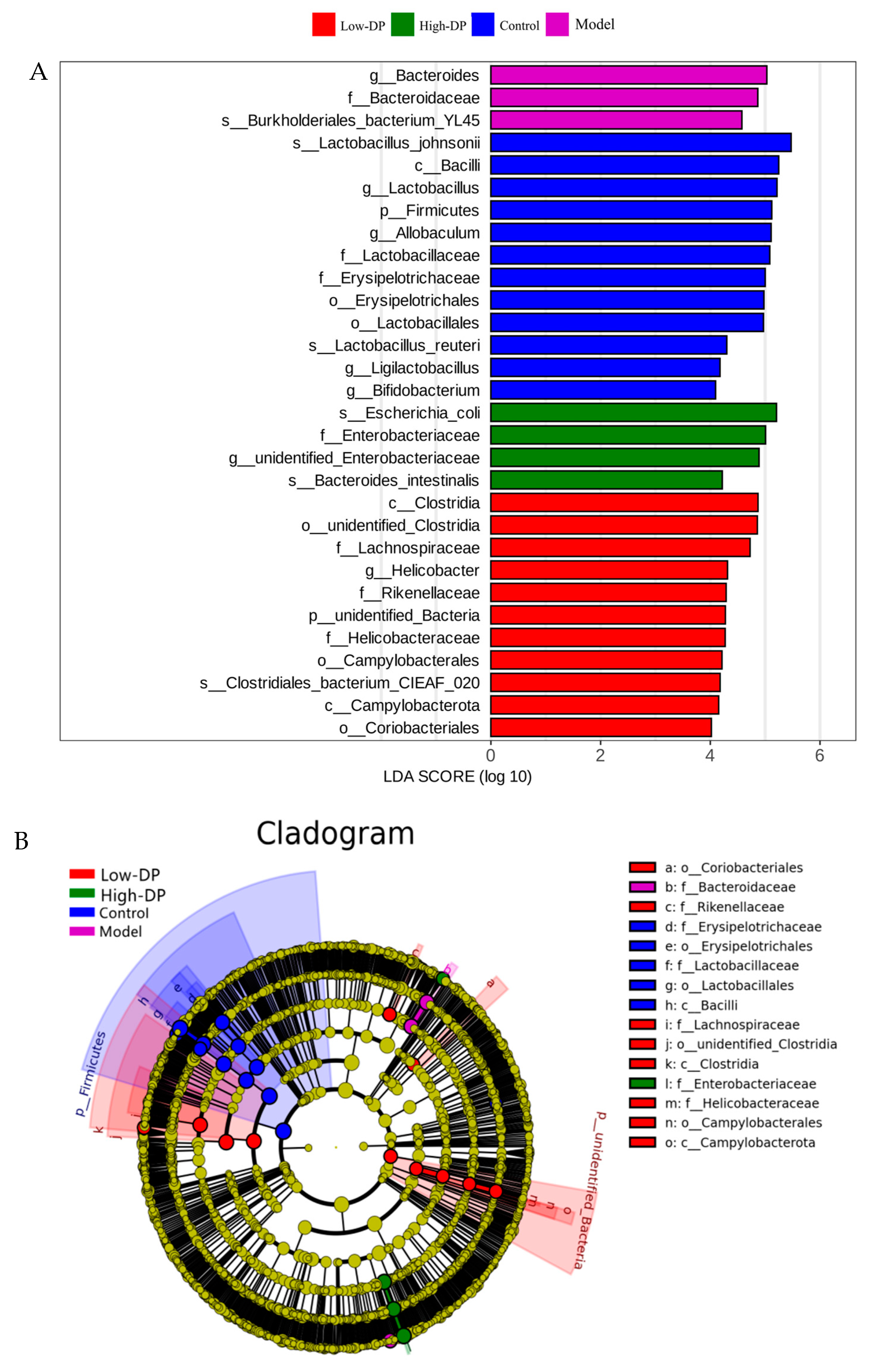 Metabolites 14 00351 g005a Metabolites 14 00351 g005a