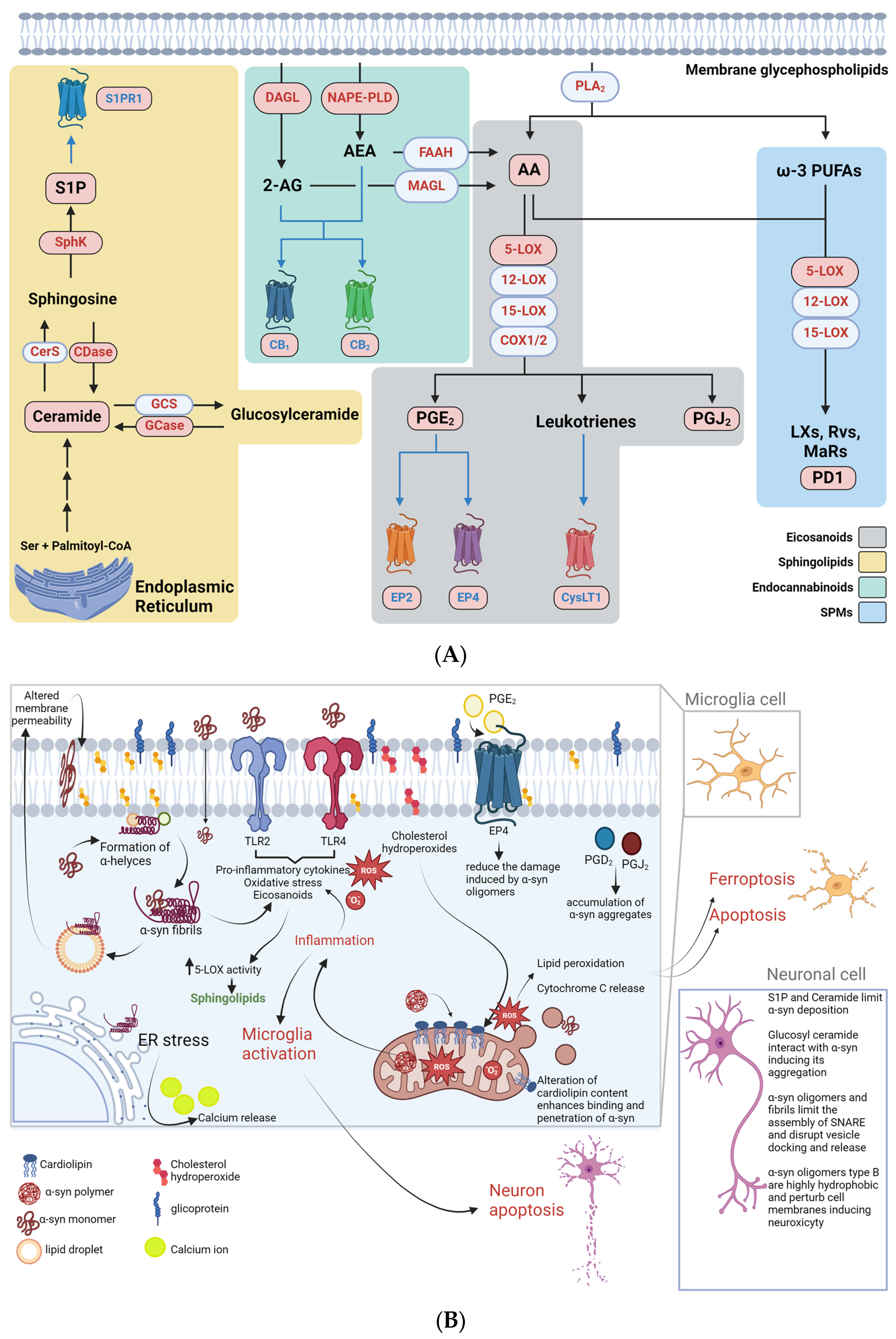Metabolites 14 00352 g002 Metabolites 14 00352 g002