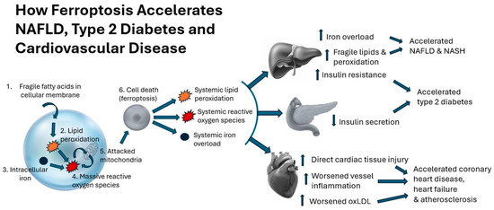 The Cellular Stability Hypothesis: Evidence of Ferroptosis and Accelerated Aging-Associated Diseases as Newly Identified Nutritional Pentadecanoic Acid (C15:0) Deficiency Syndrome The Cellular Stability Hypothesis: Evidence of Ferroptosis and Accelerated Aging-Associated Diseases as Newly Identified Nutritional Pentadecanoic Acid (C15:0) Deficiency Syndrome