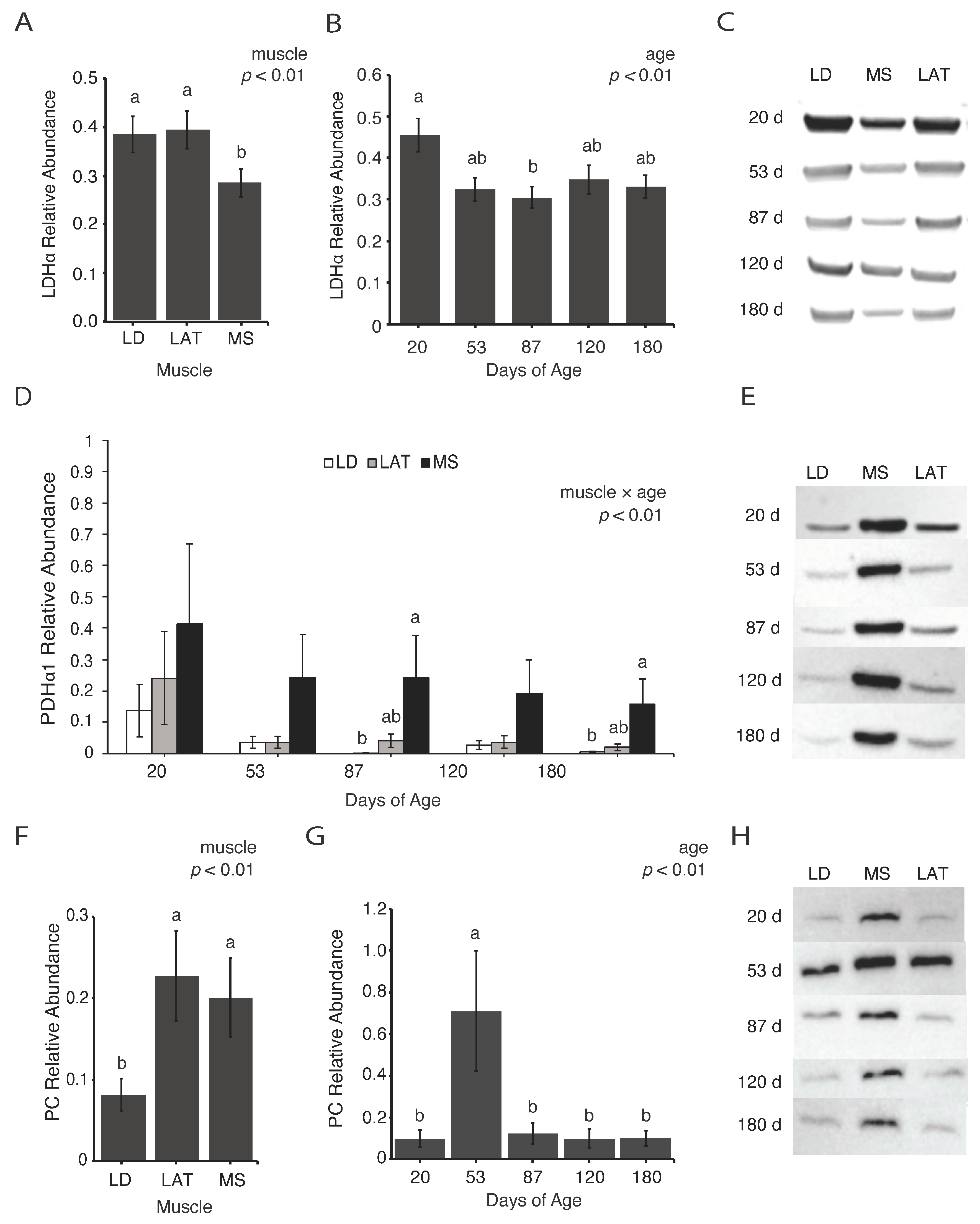 Metabolites 14 00357 g002