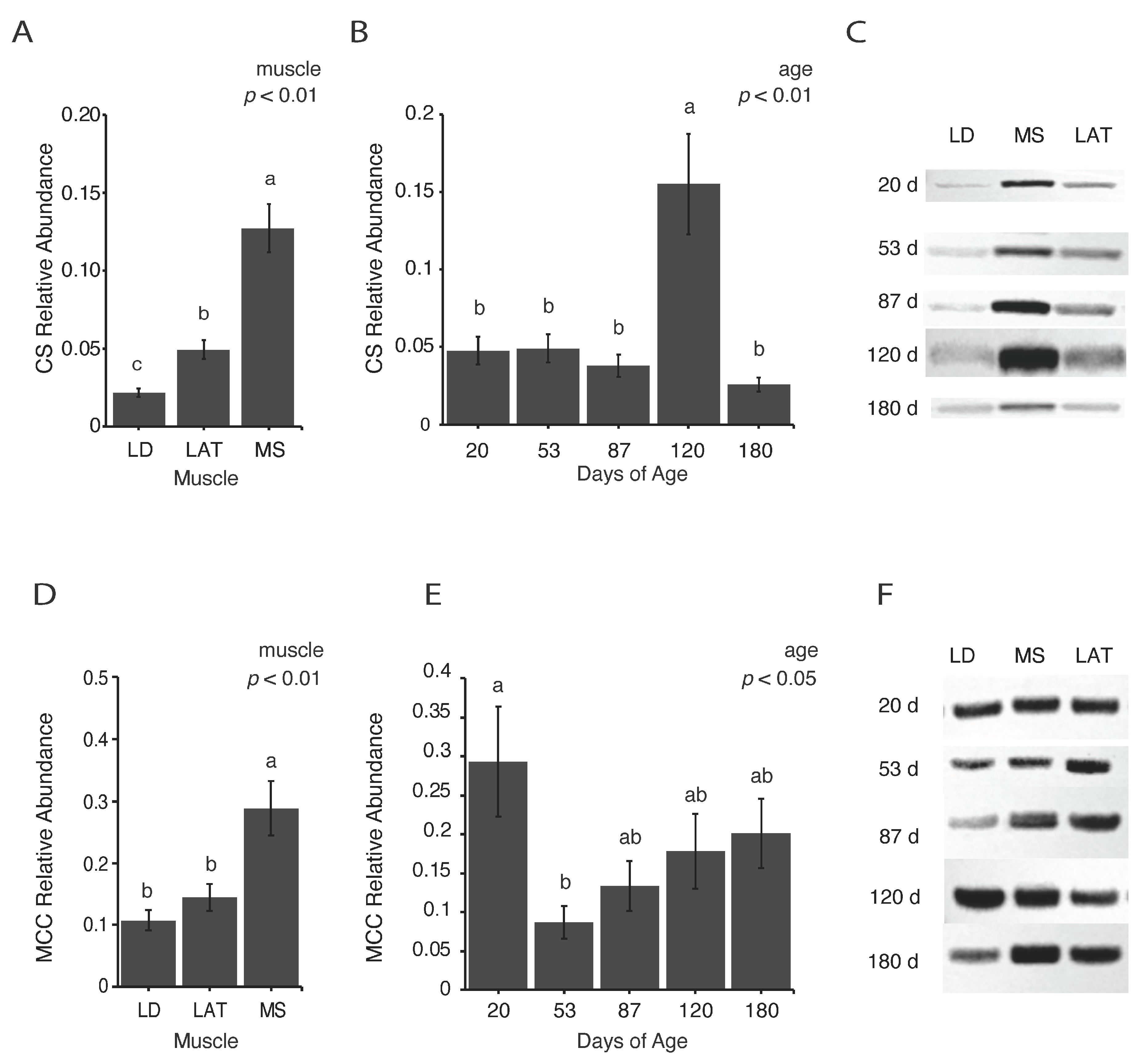 Metabolites 14 00357 g003