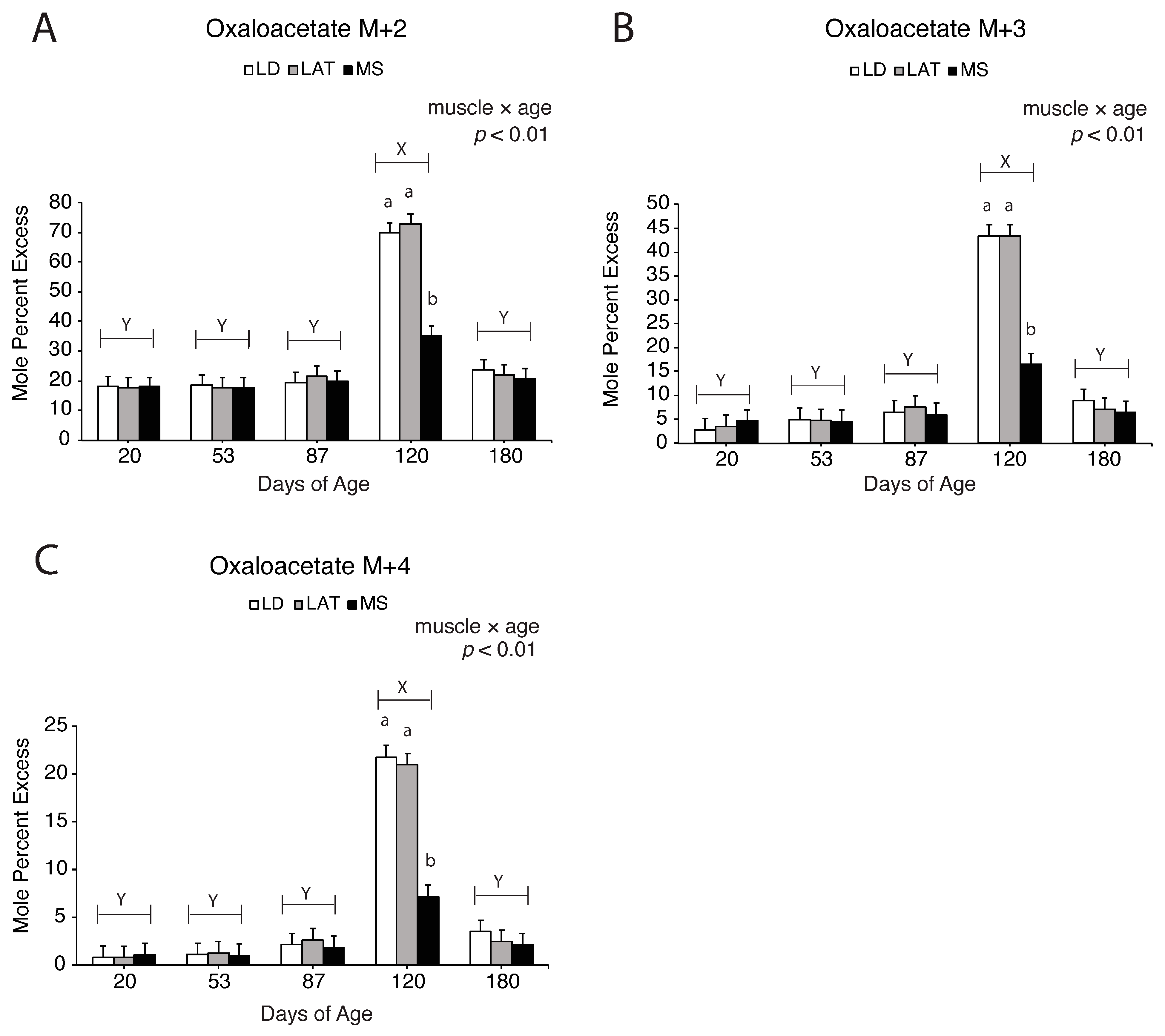 Metabolites 14 00357 g006