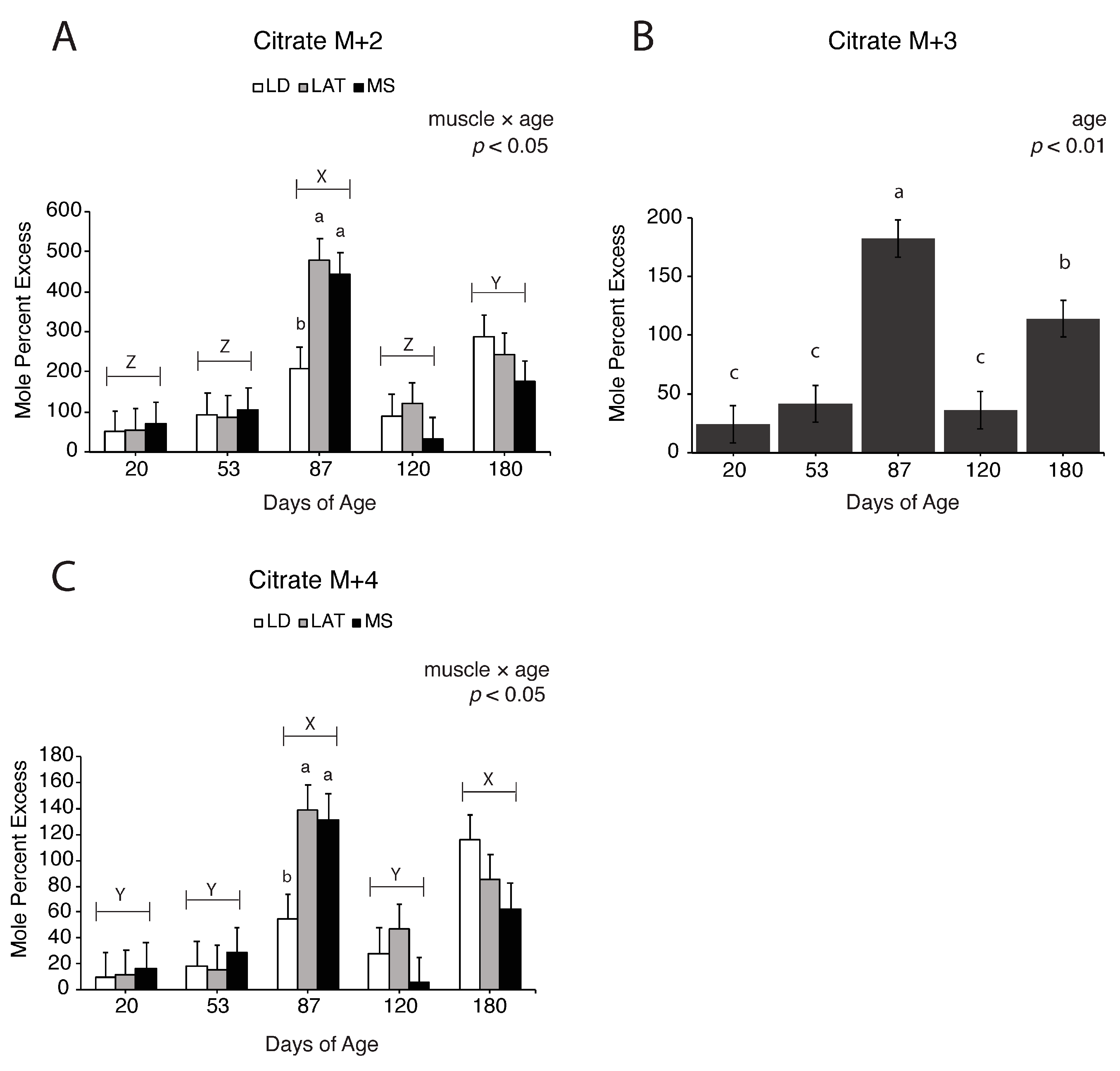 Metabolites 14 00357 g007