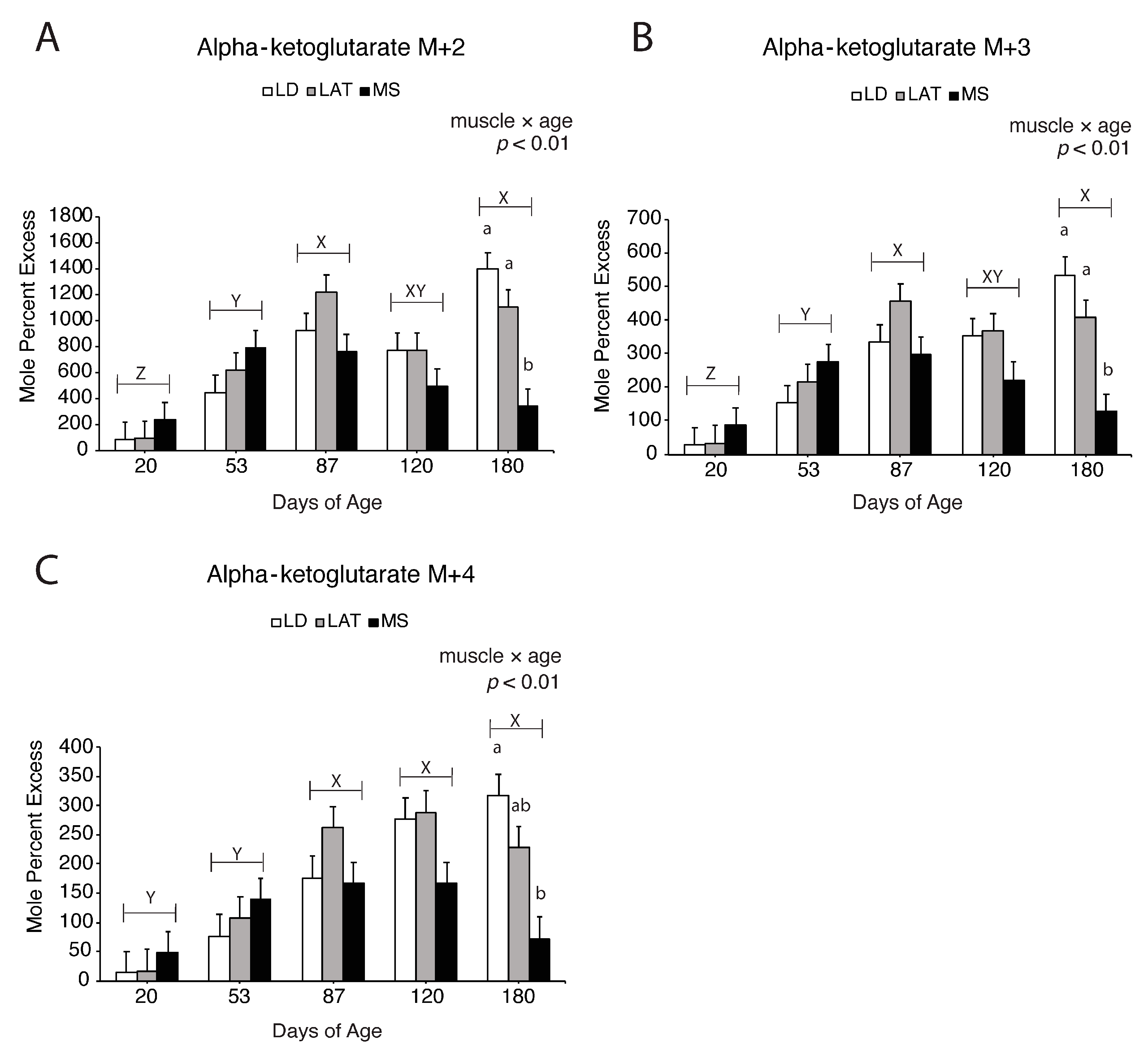 Metabolites 14 00357 g008
