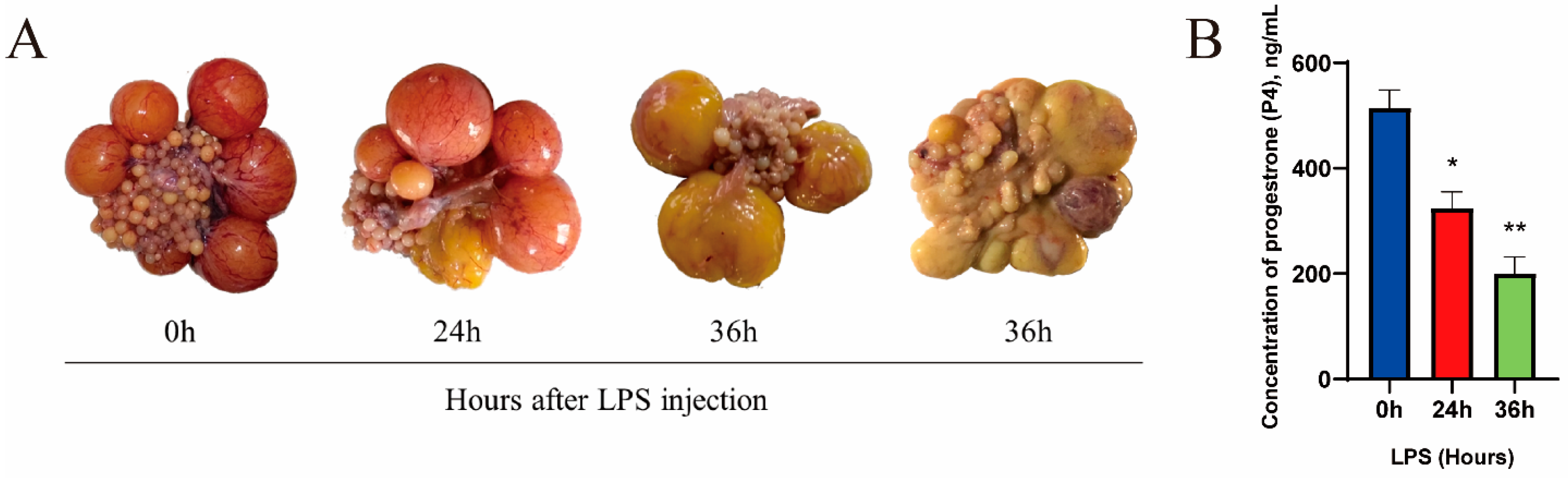 Metabolites 14 00362 g001