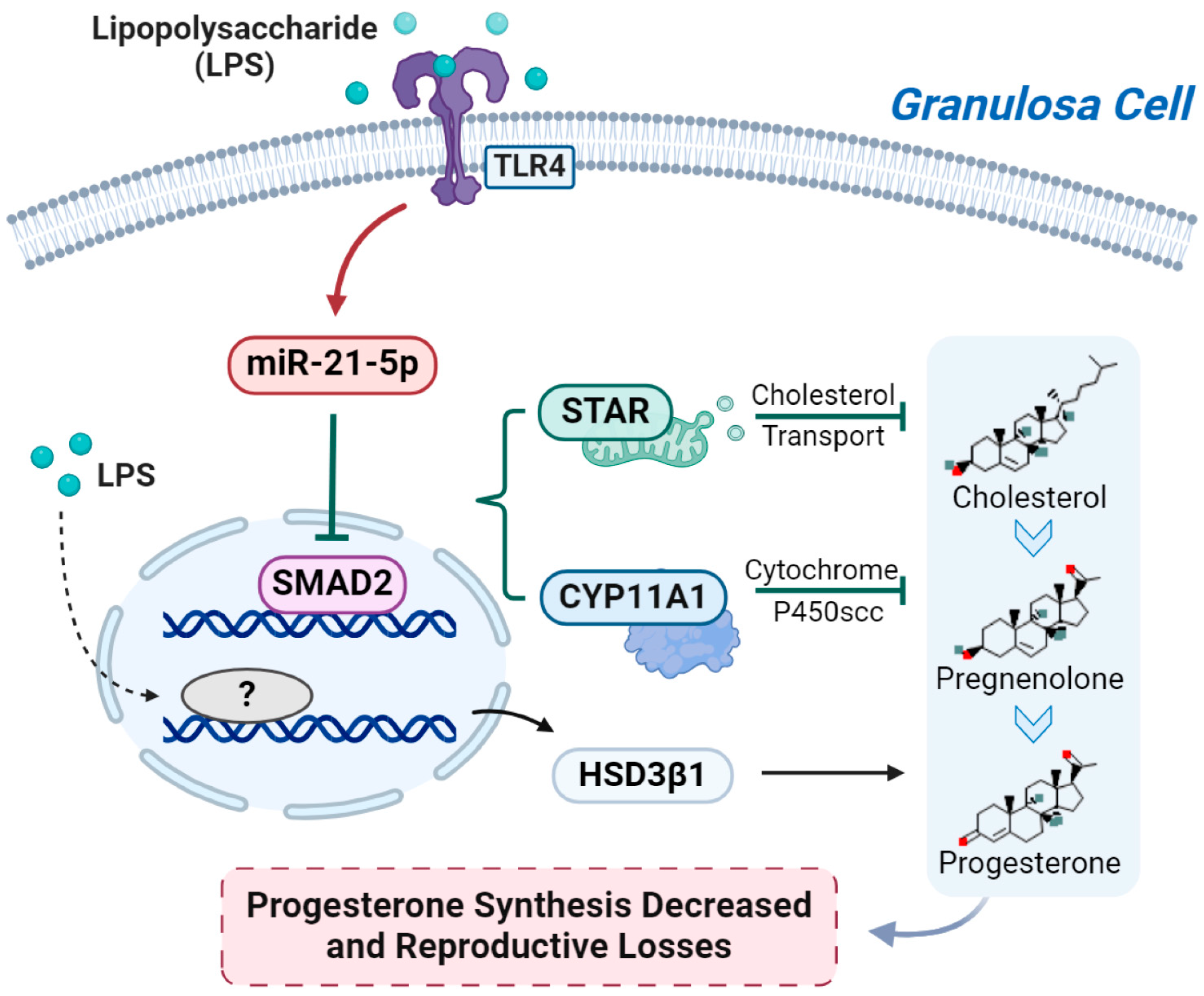 Metabolites 14 00362 g009