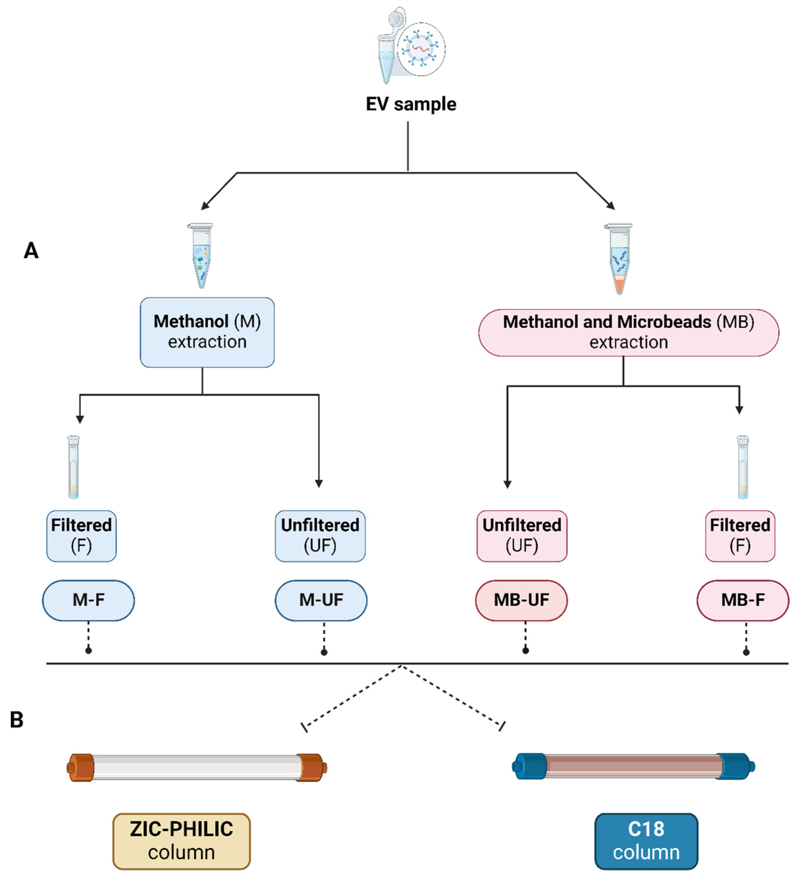 Metabolites 14 00367 g001
