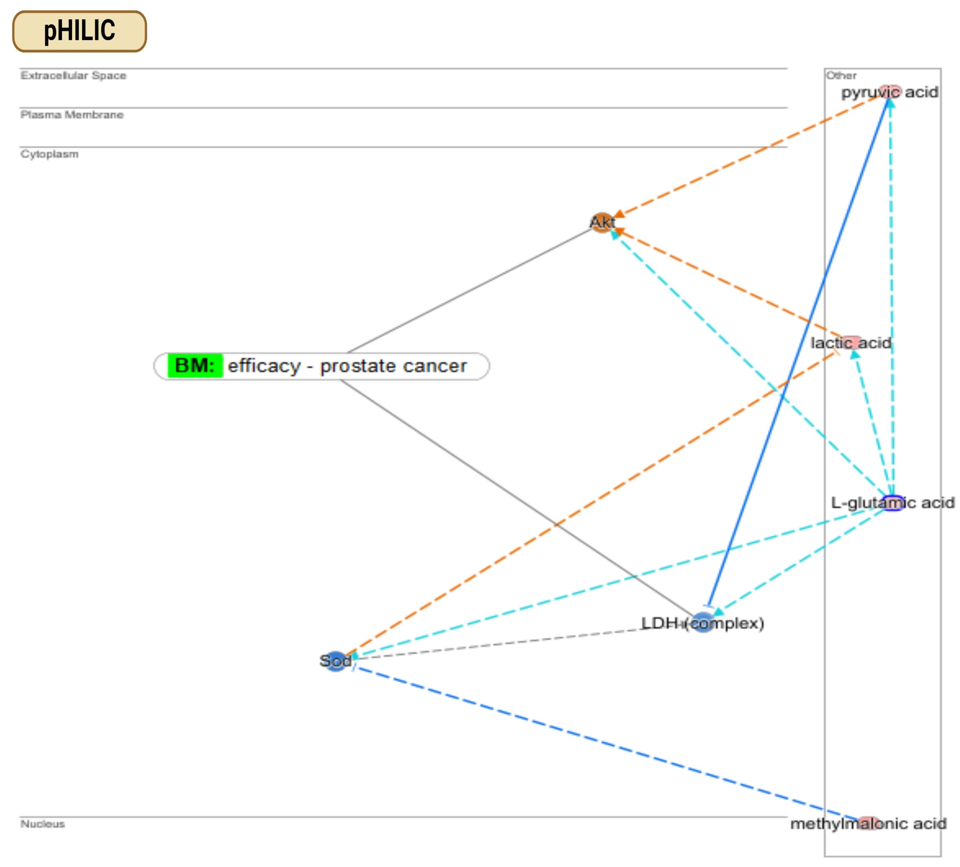 Metabolites 14 00367 g003a
