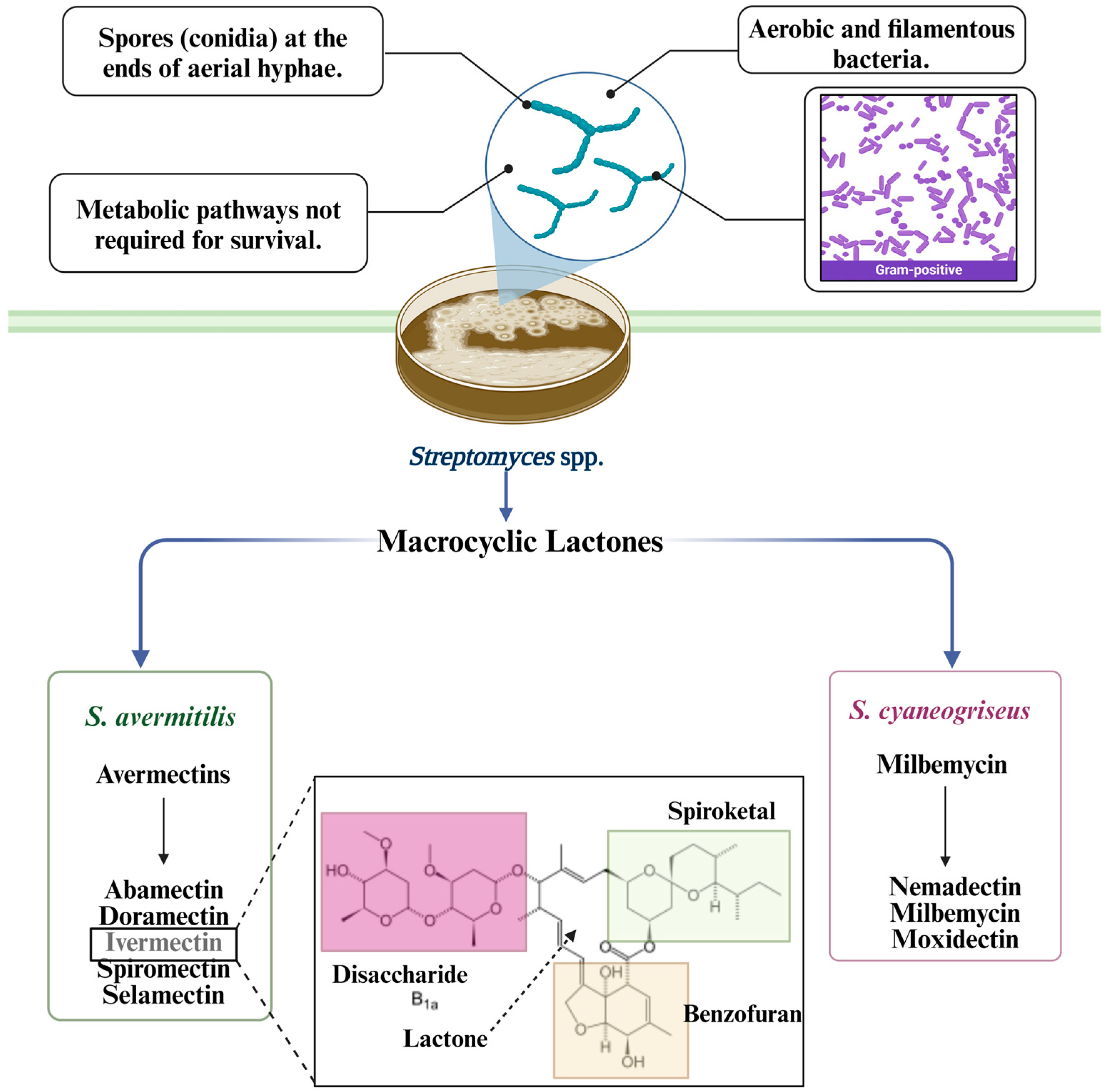 Metabolites 14 00374 g001 Metabolites 14 00374 g001