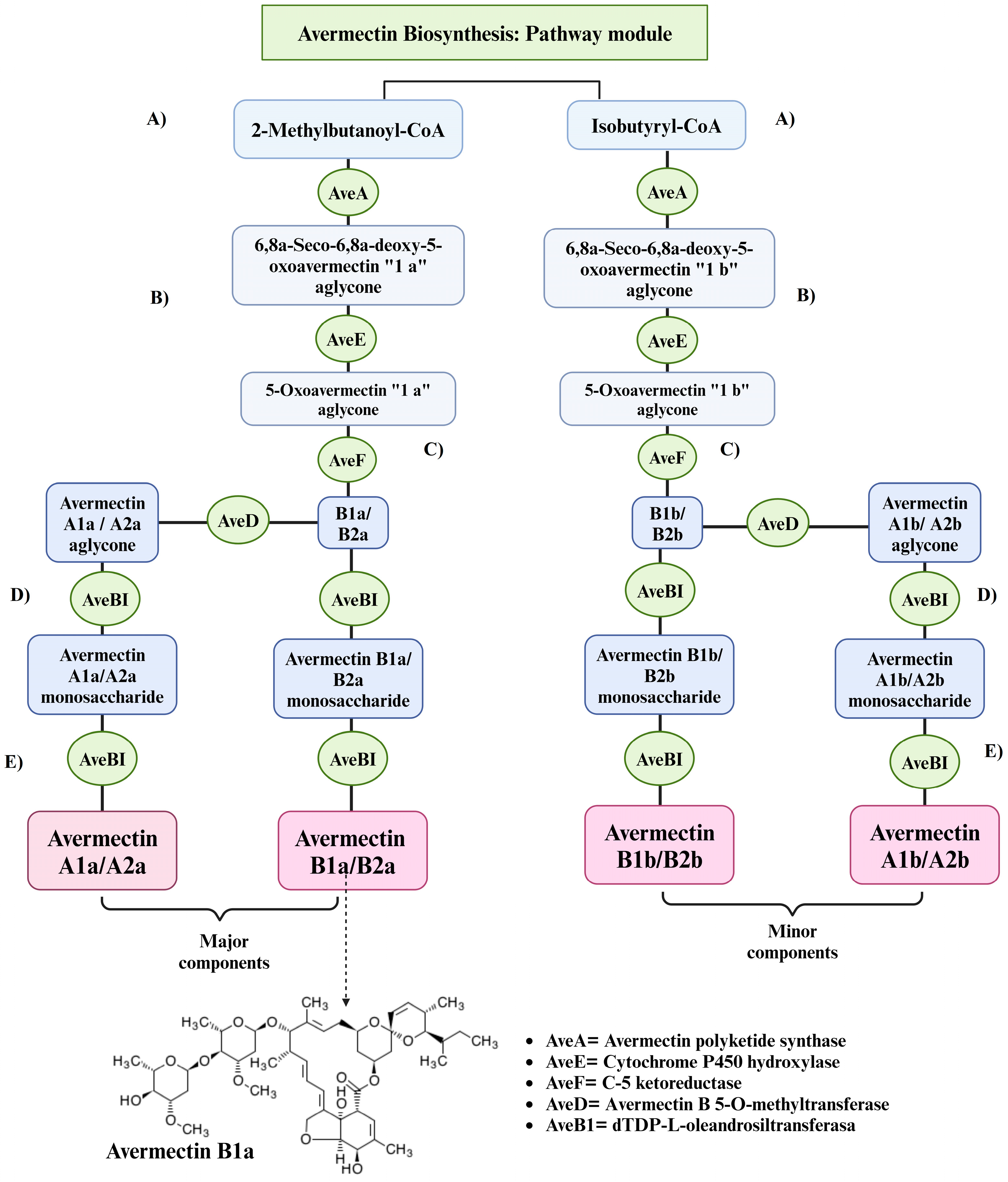 Metabolites 14 00374 g003 Metabolites 14 00374 g003
