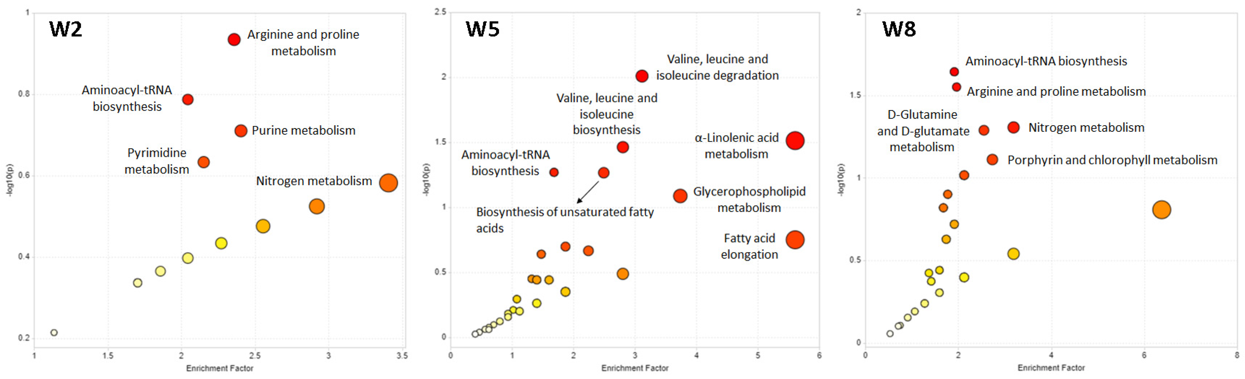 Metabolites 14 00375 g006