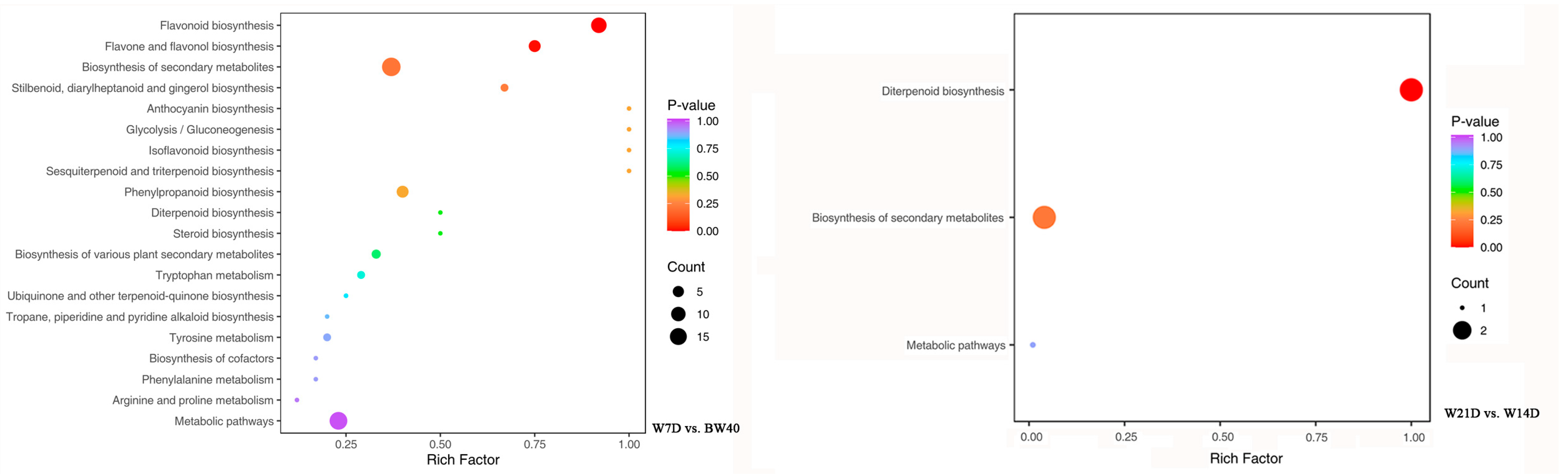 Metabolites 14 00376 g006
