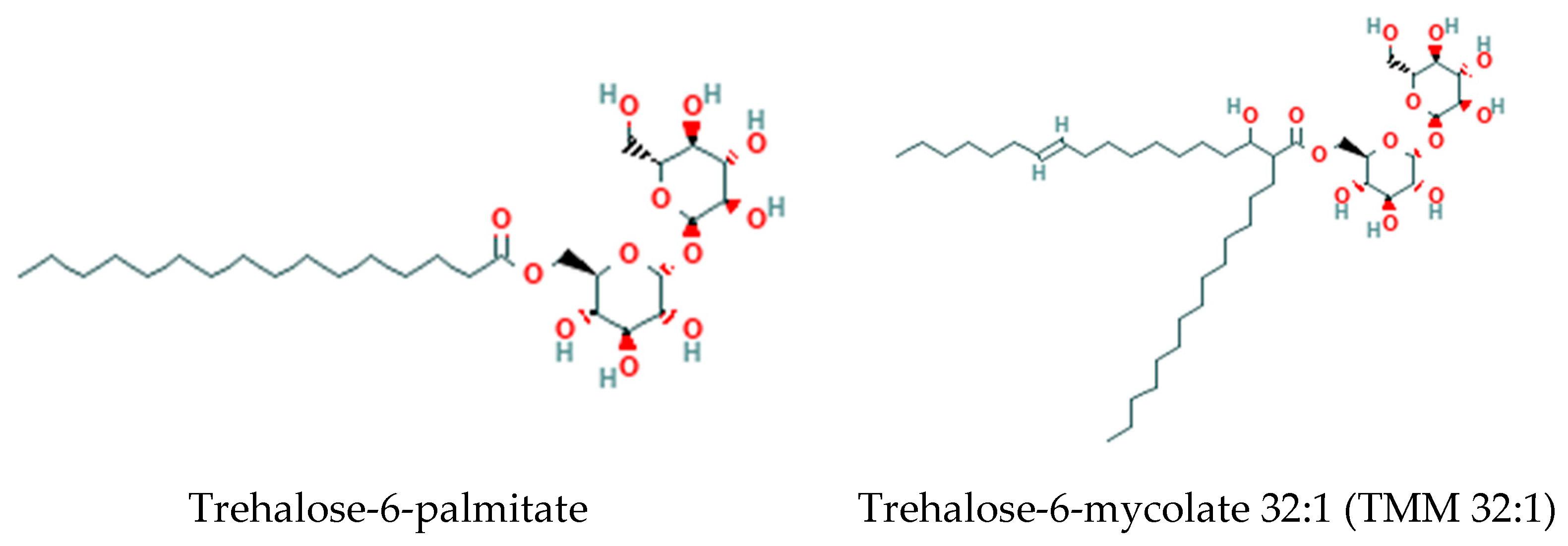 Metabolites 14 00378 g011 Metabolites 14 00378 g011