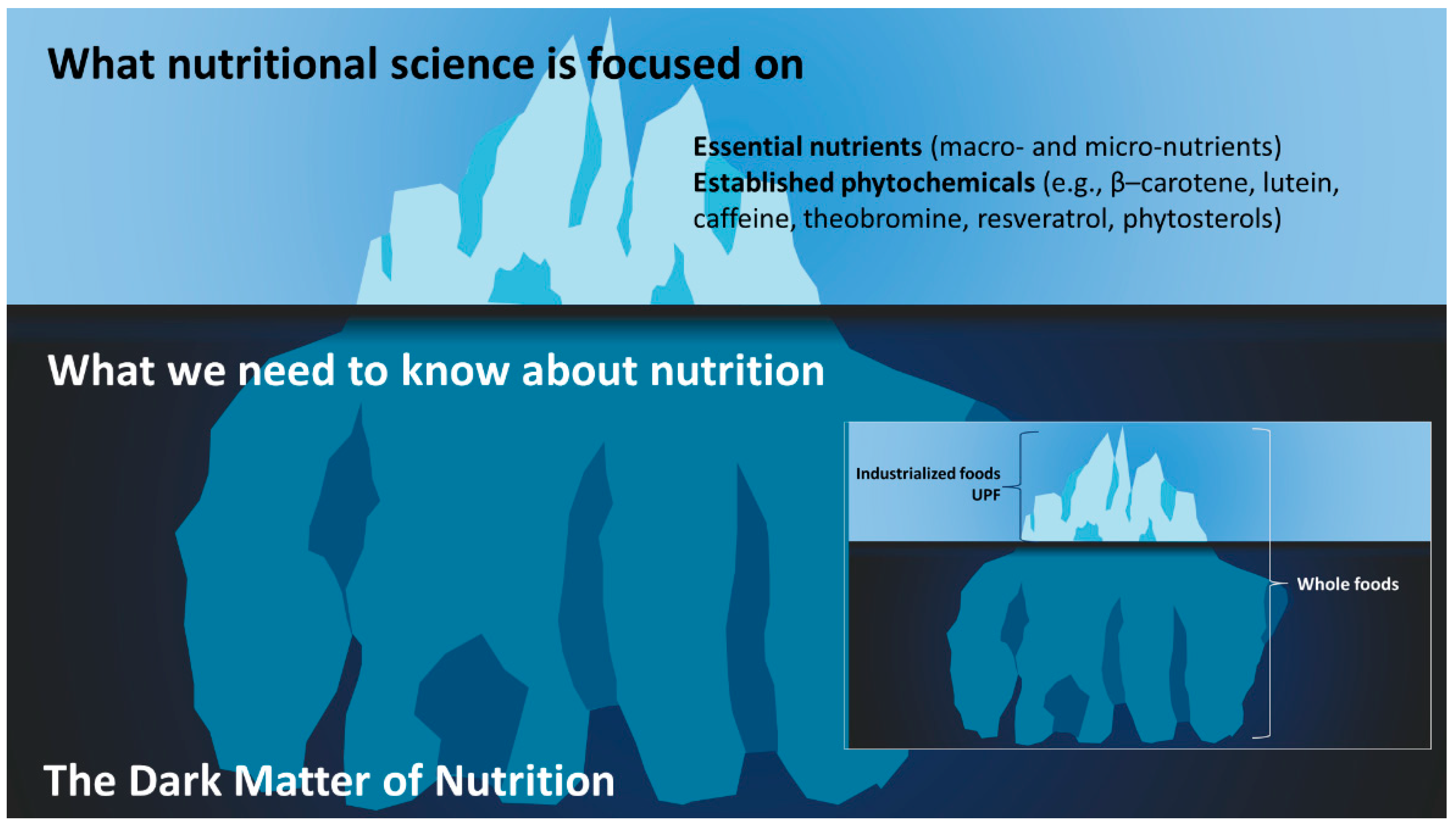 Metabolites 14 00379 g001