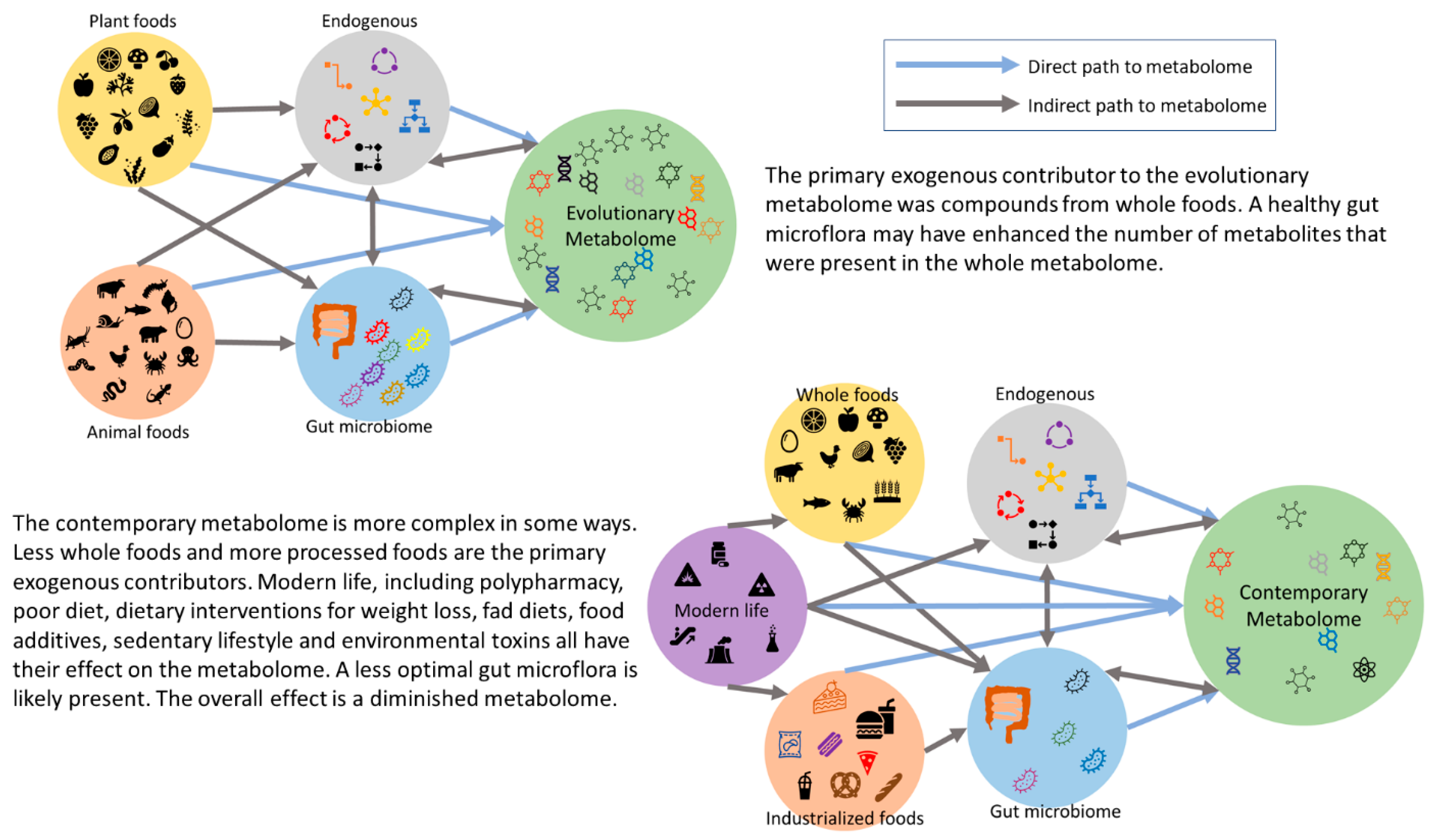 Metabolites 14 00379 g002