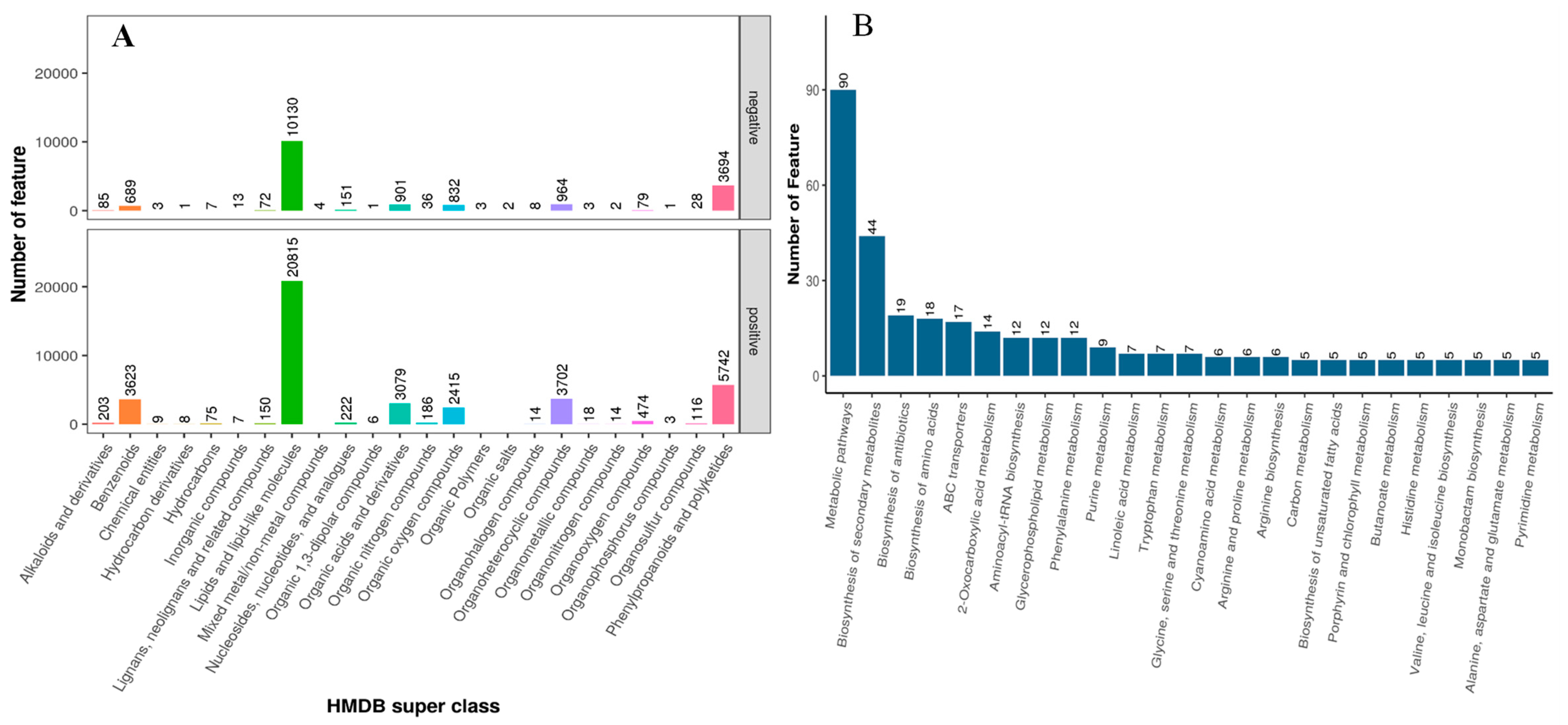 Metabolites 14 00381 g001