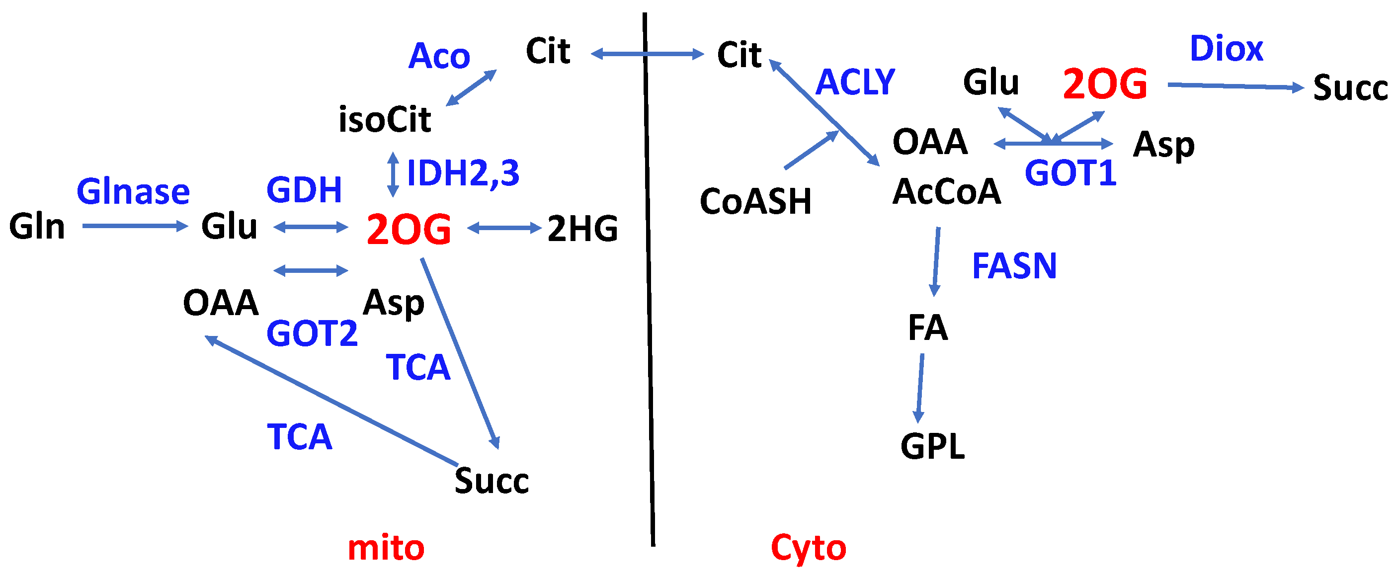Metabolites 14 00383 g003