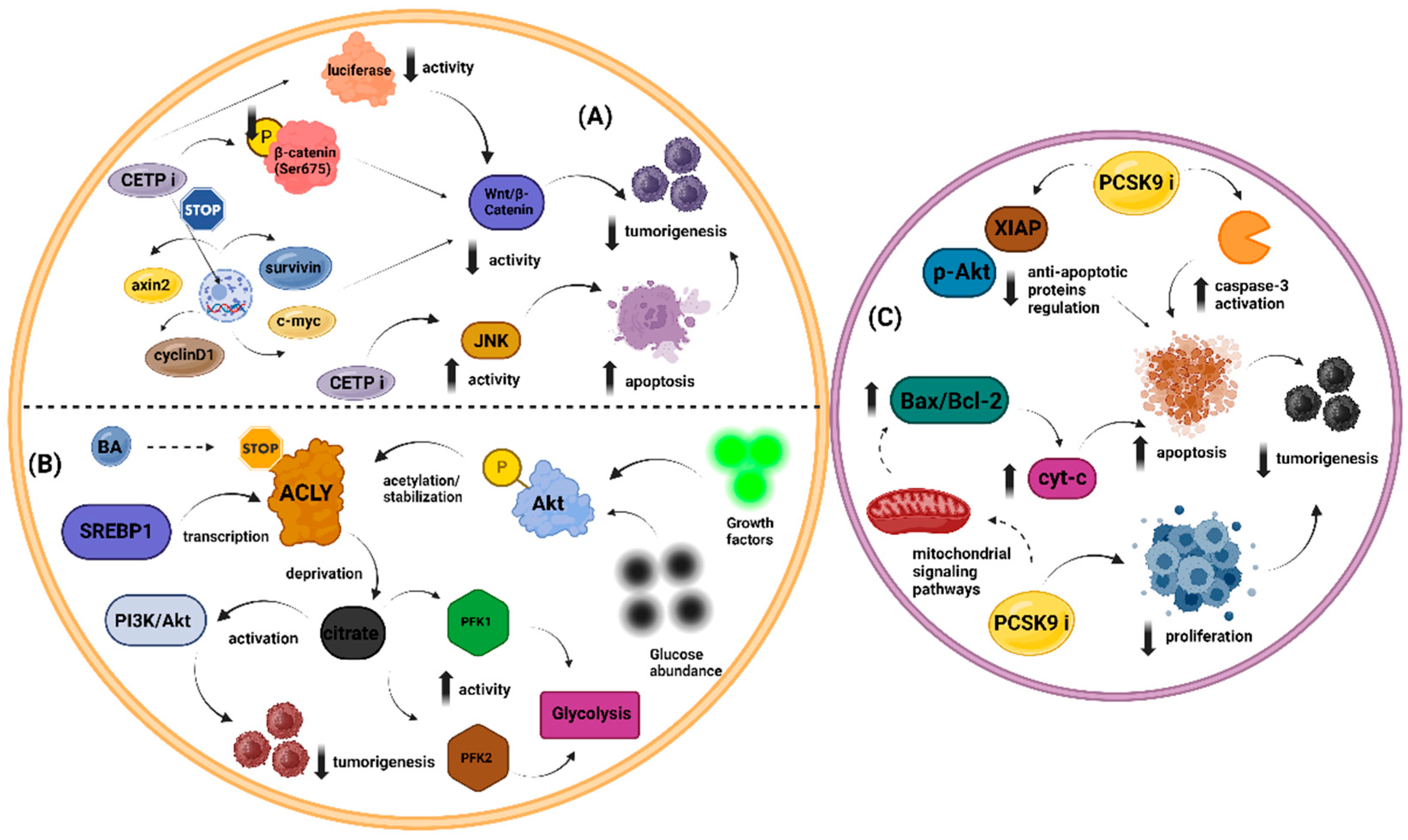 Metabolites 14 00388 g002
