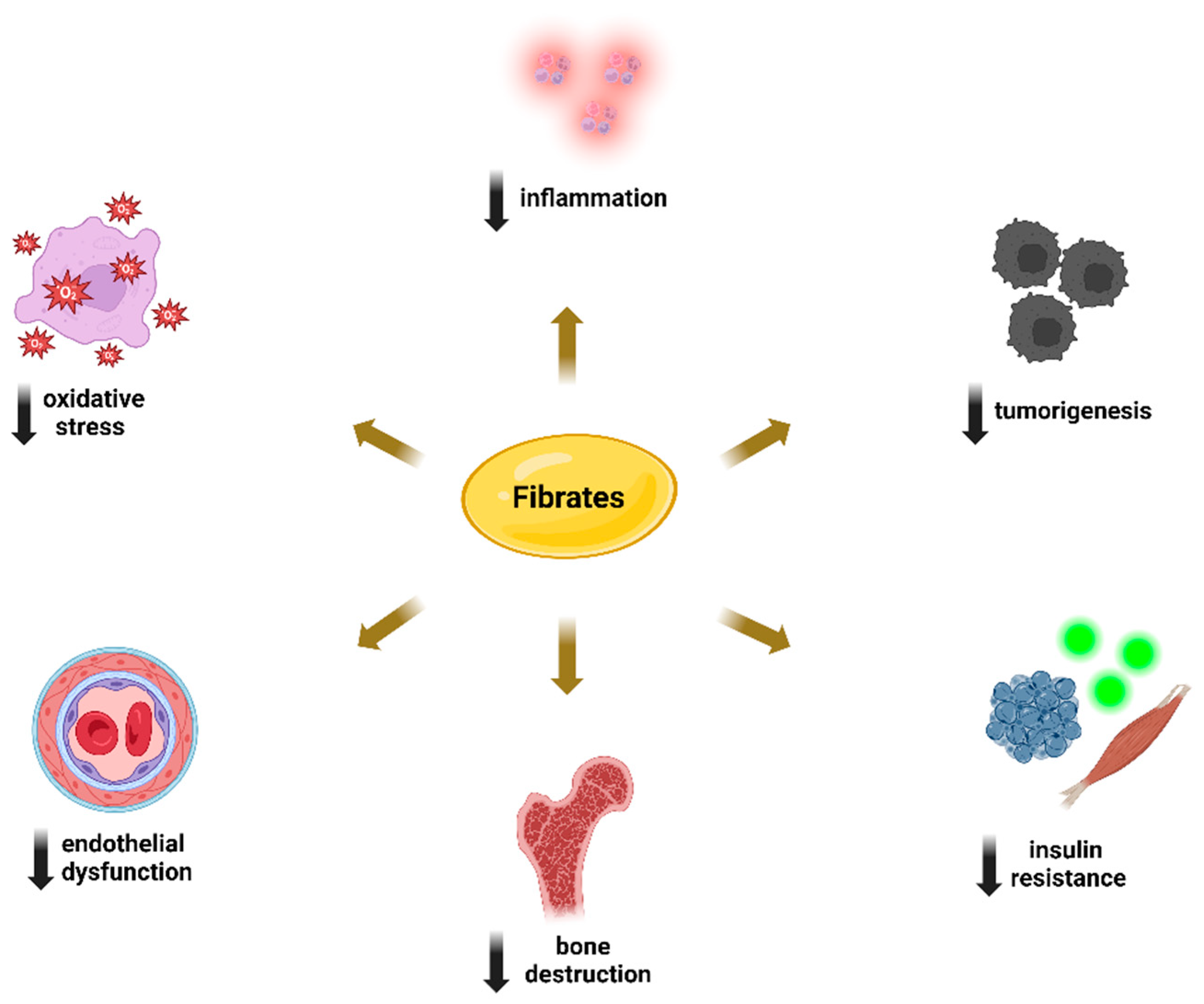 Metabolites 14 00388 g003