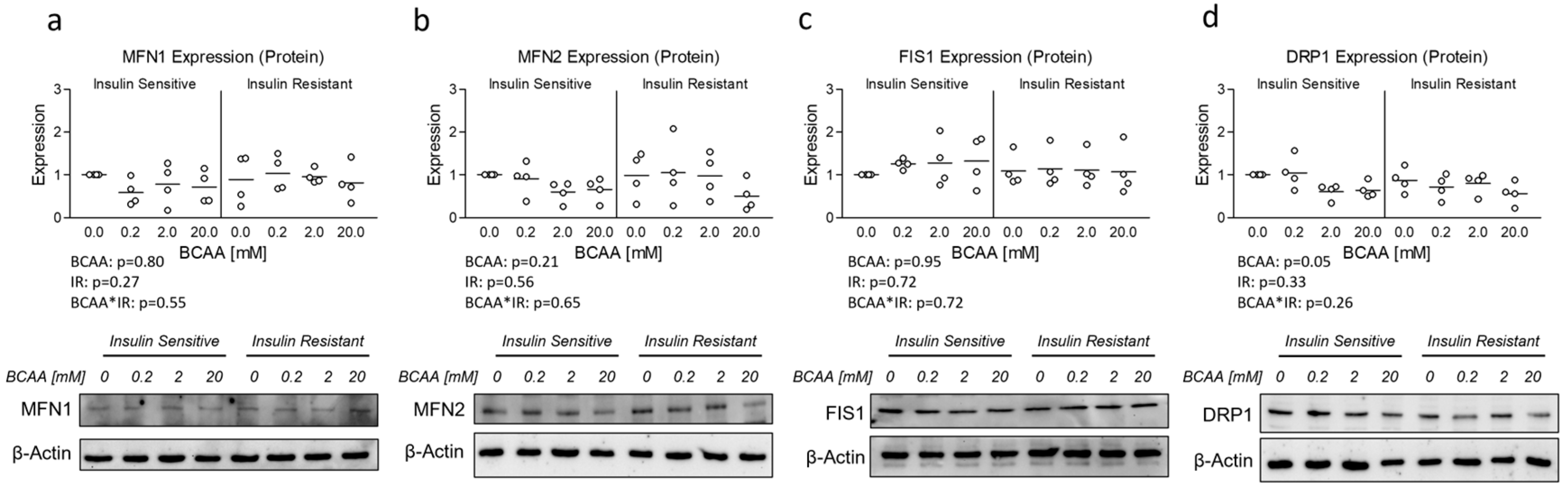 Metabolites 14 00389 g005