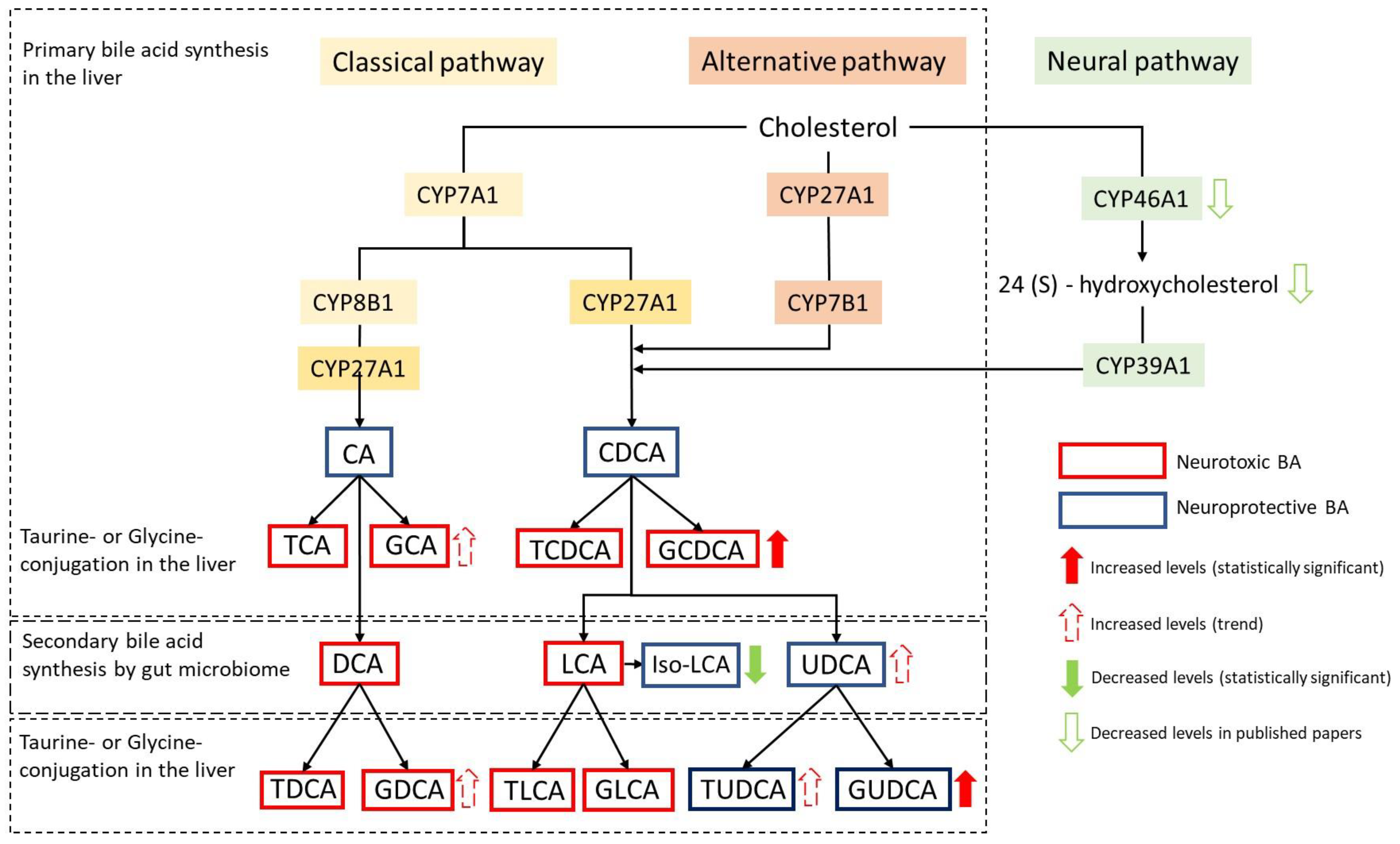 Metabolites 14 00394 g003