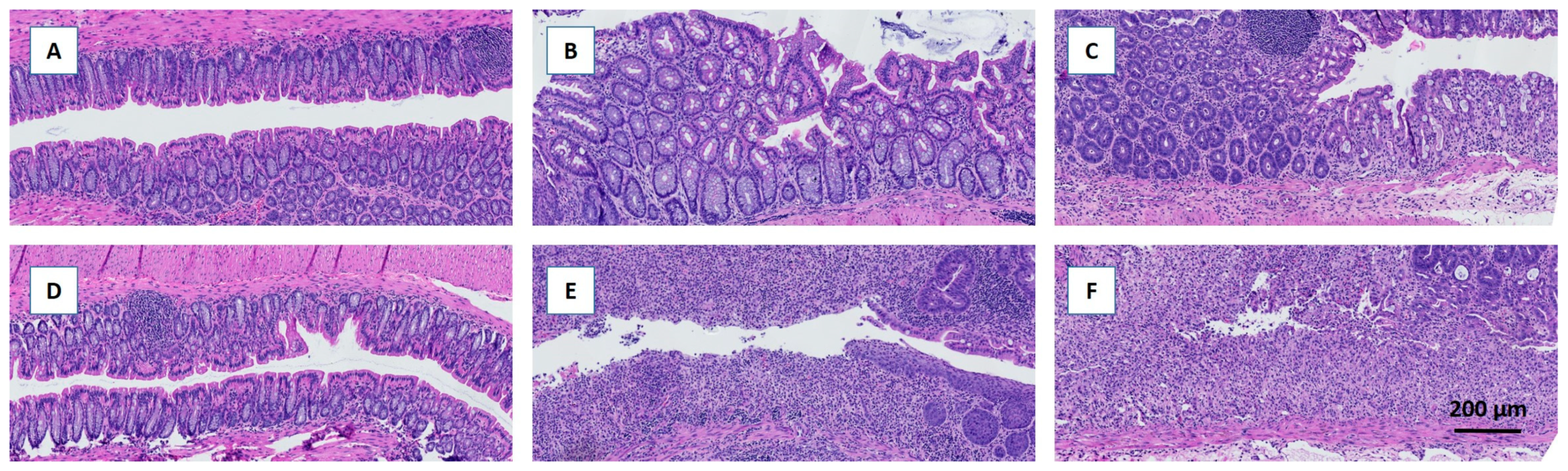 Metabolites 14 00395 g003