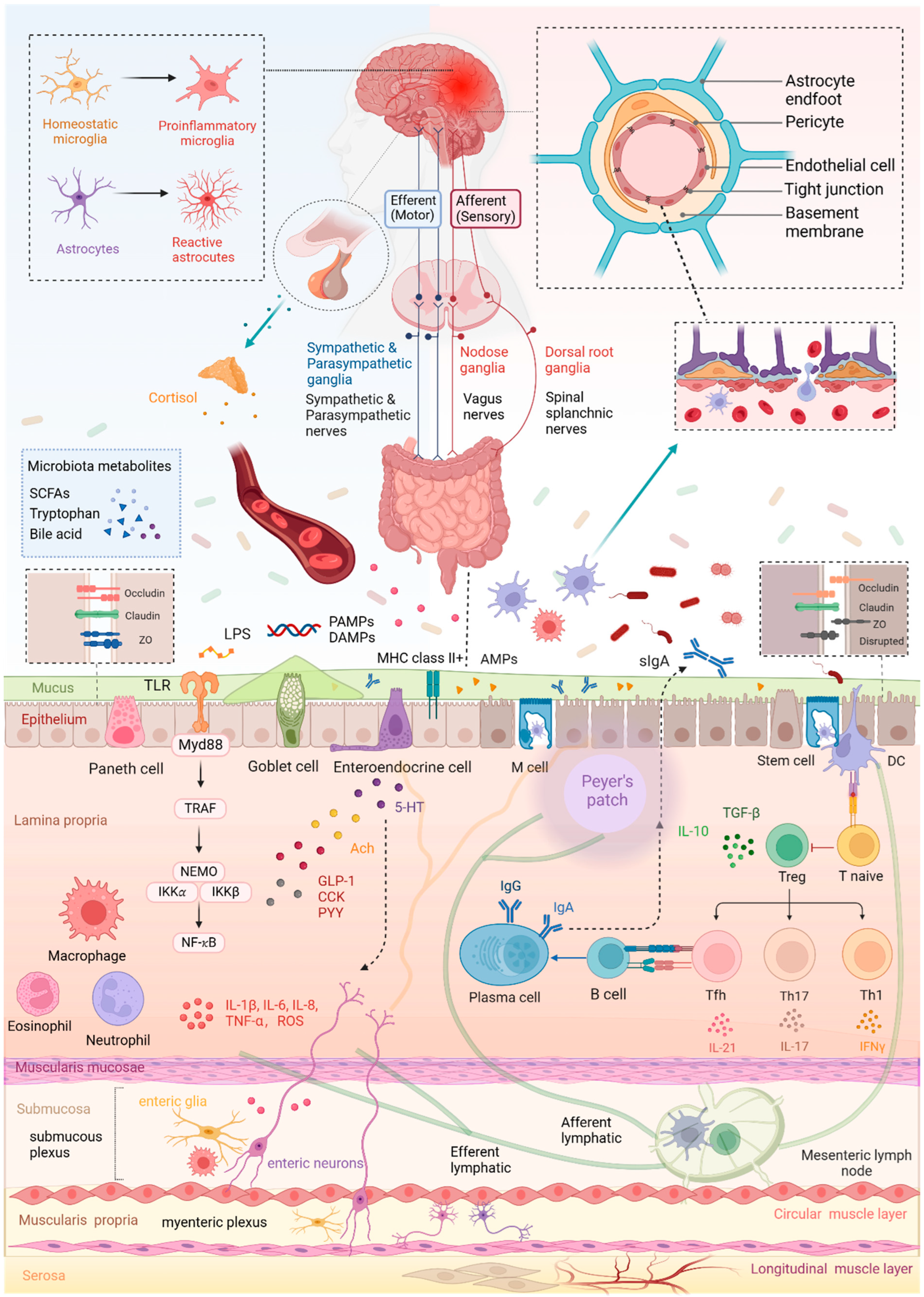 Metabolites 14 00399 g001