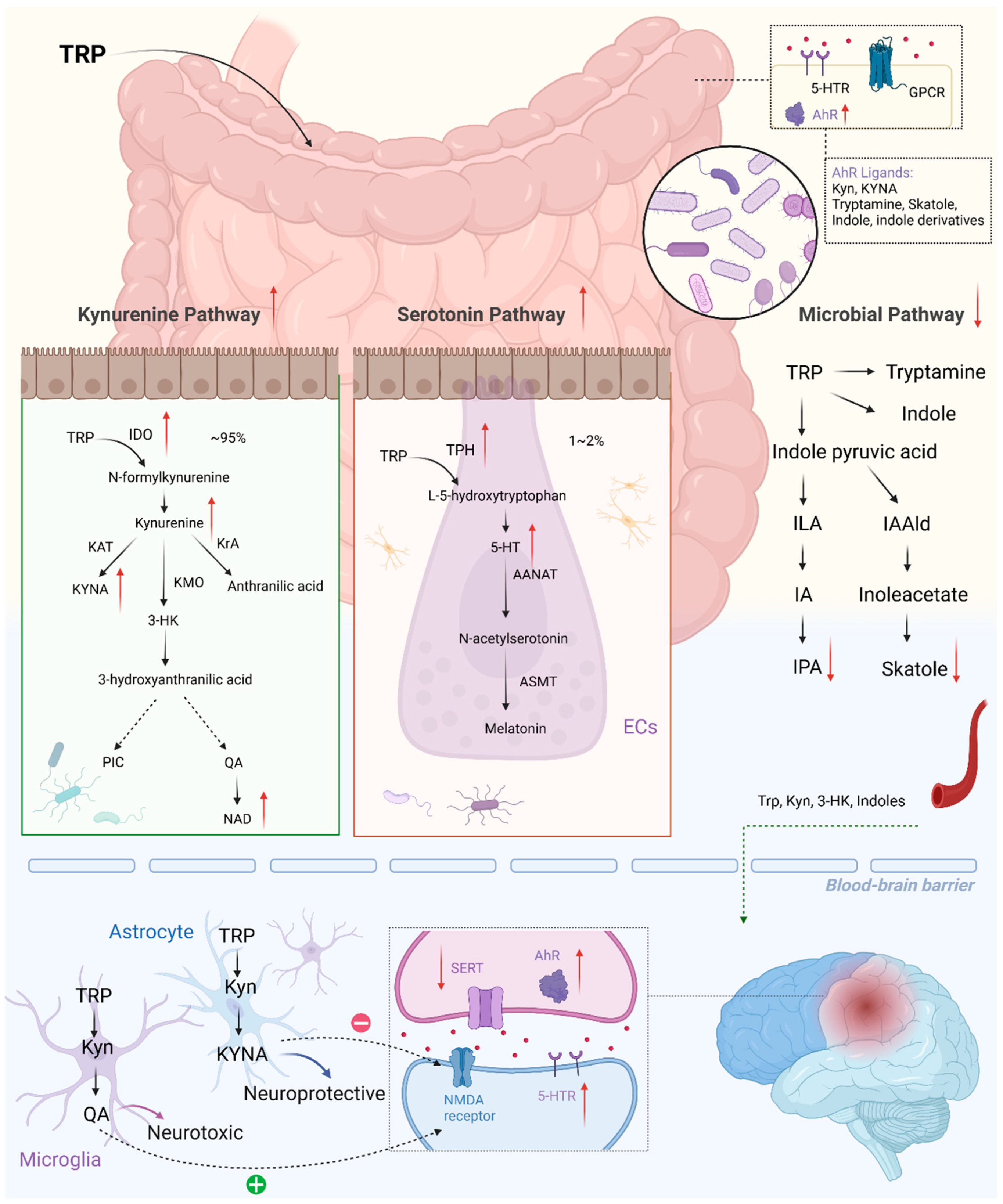 Metabolites 14 00399 g003