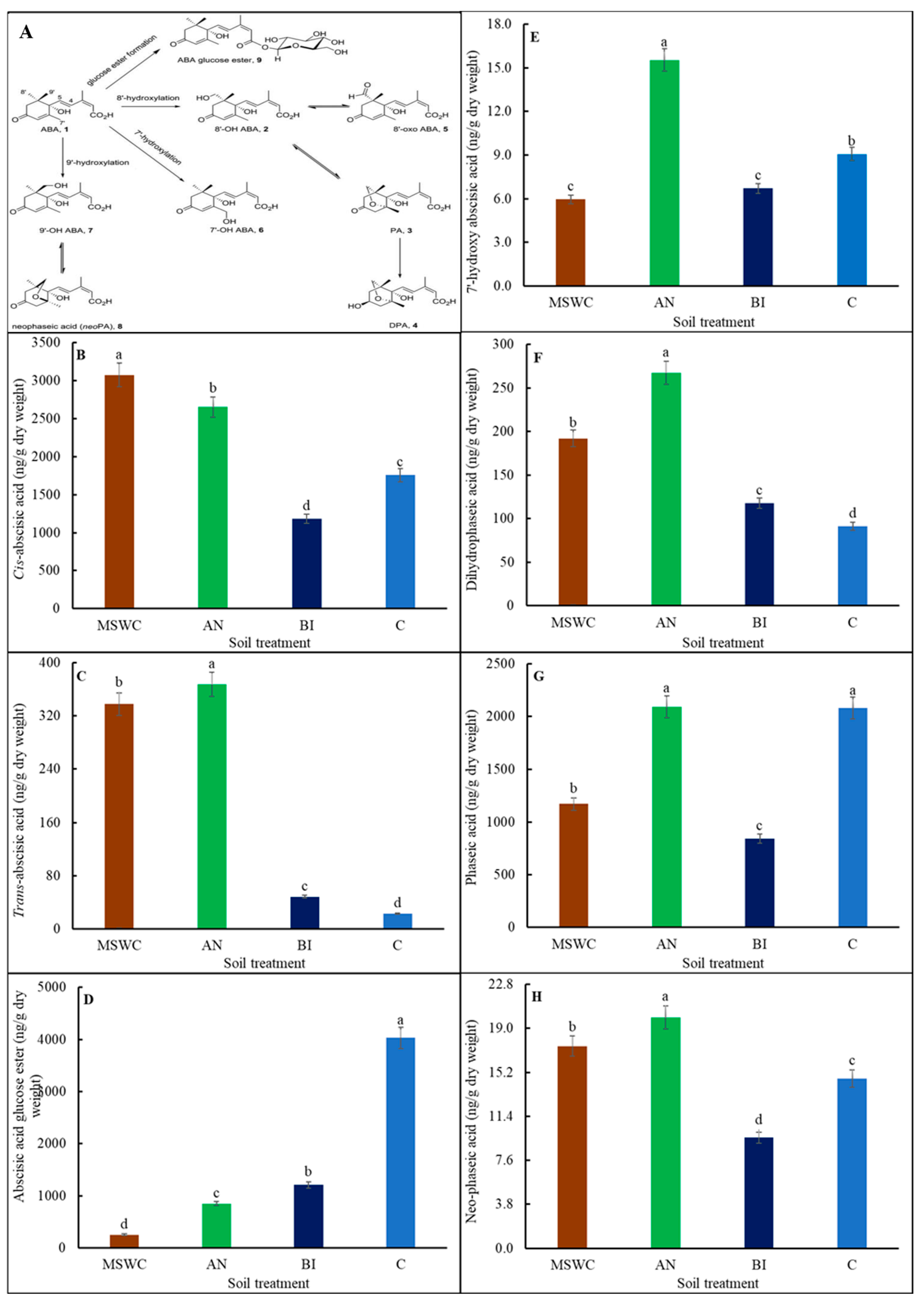 Metabolites 14 00400 g004