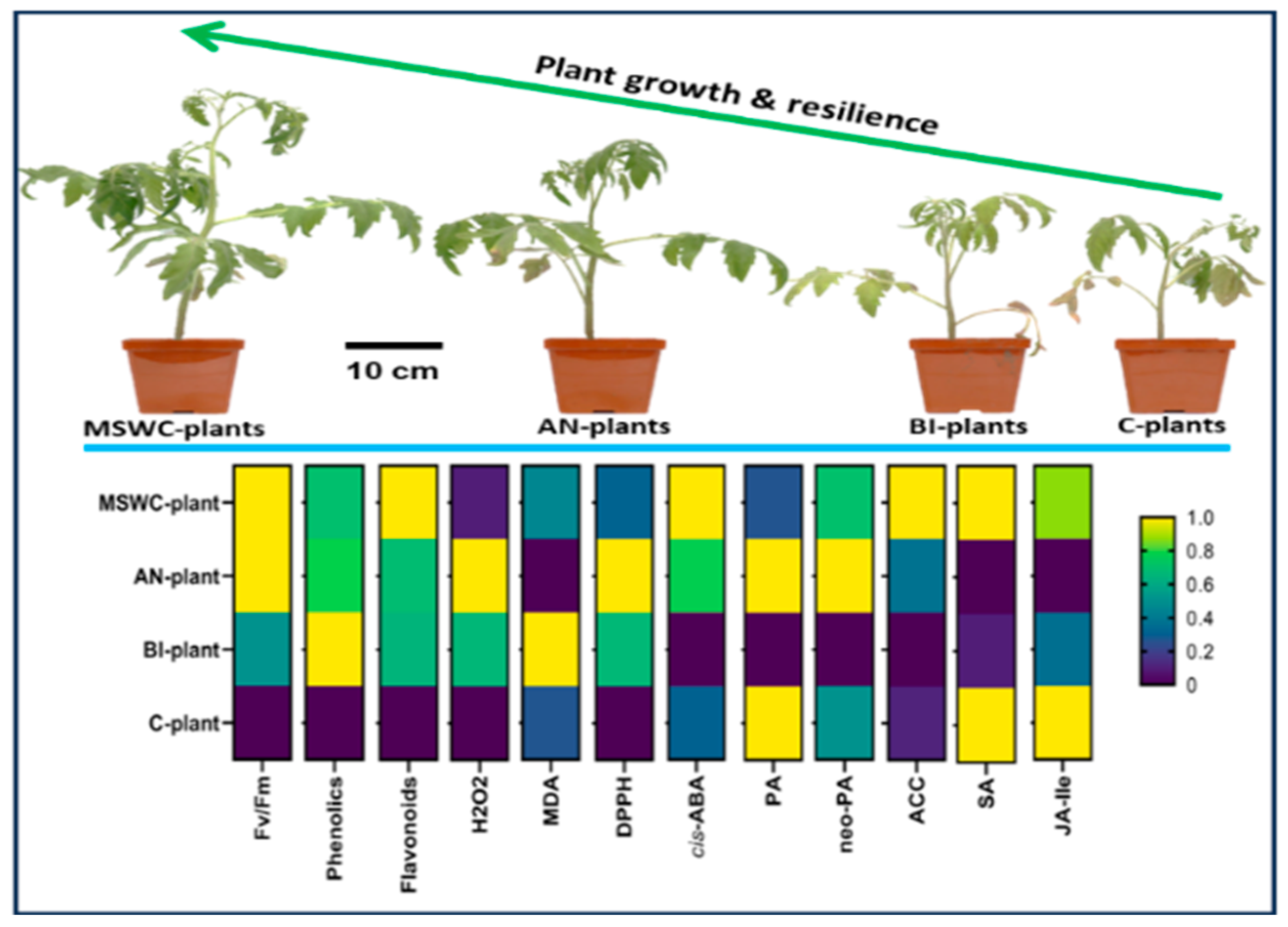 Metabolites 14 00400 g009
