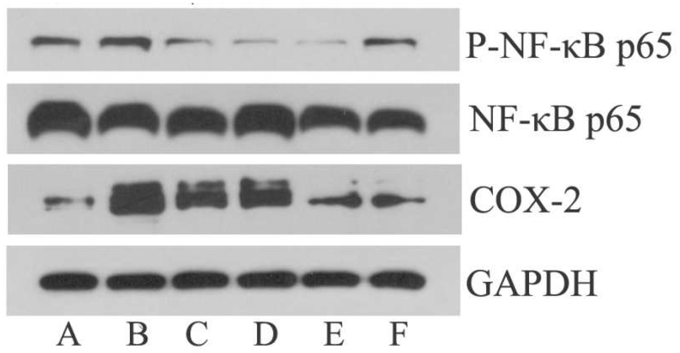 Metabolites 14 00407 g004 Metabolites 14 00407 g004