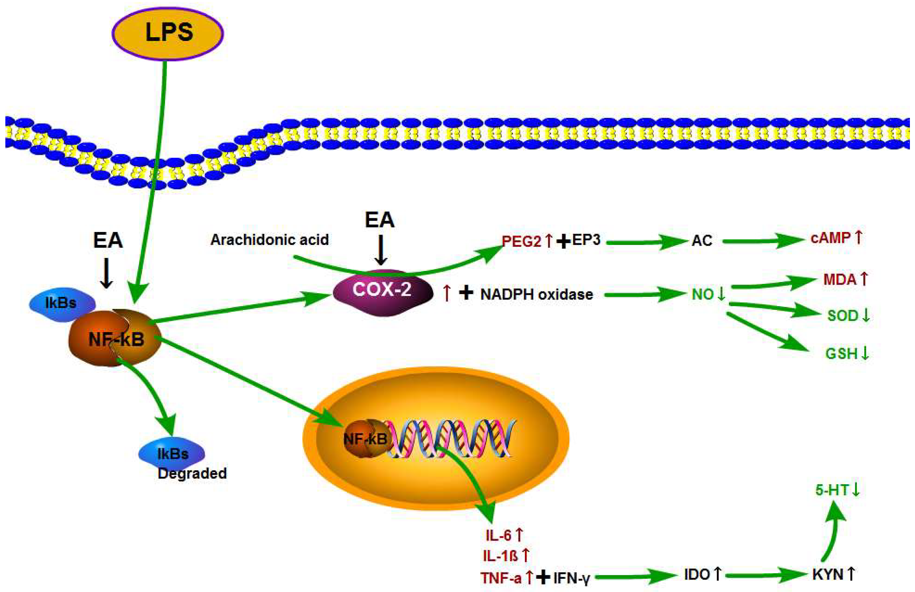 Metabolites 14 00407 g010 Metabolites 14 00407 g010