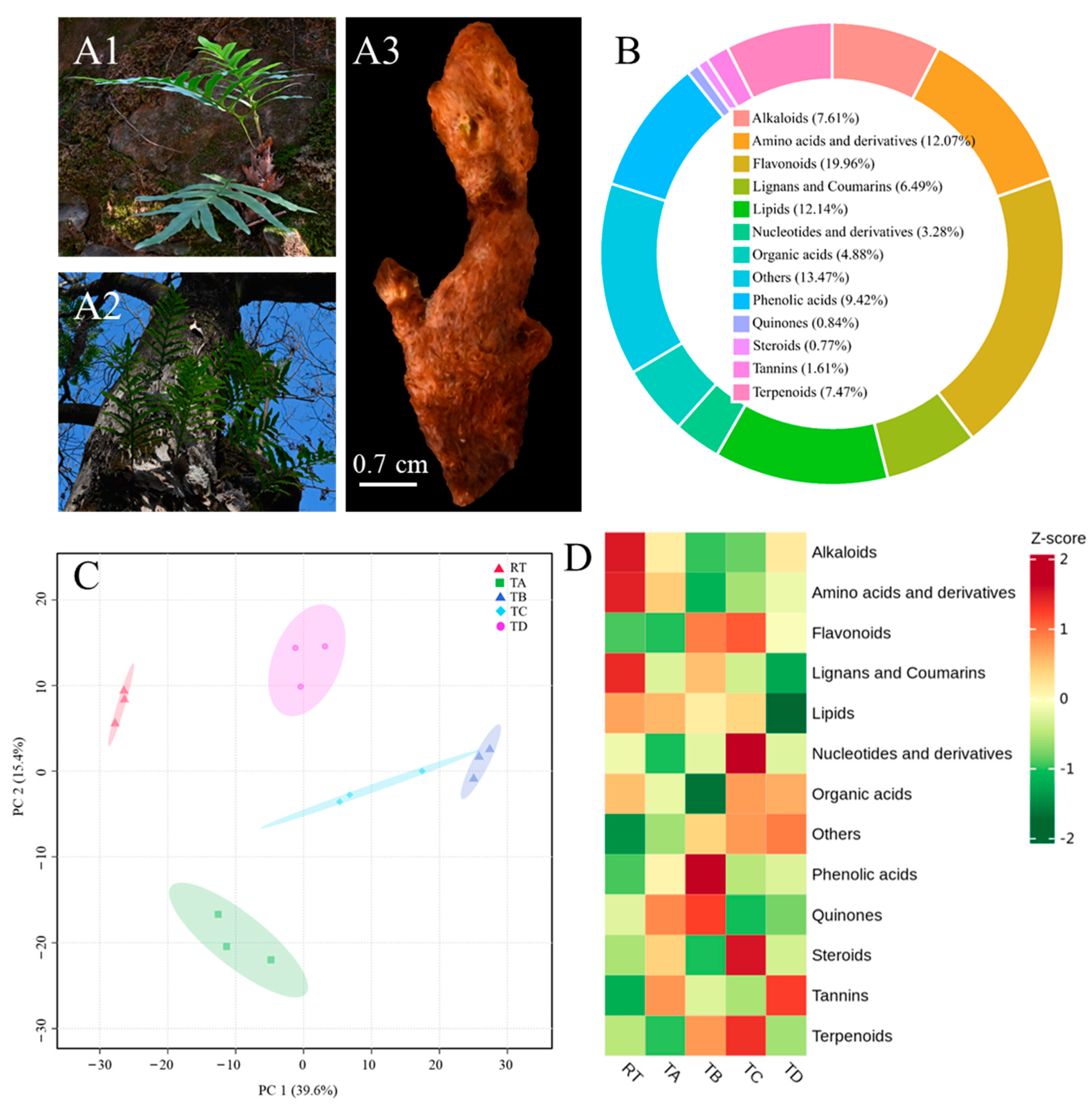 Metabolites 14 00409 g001