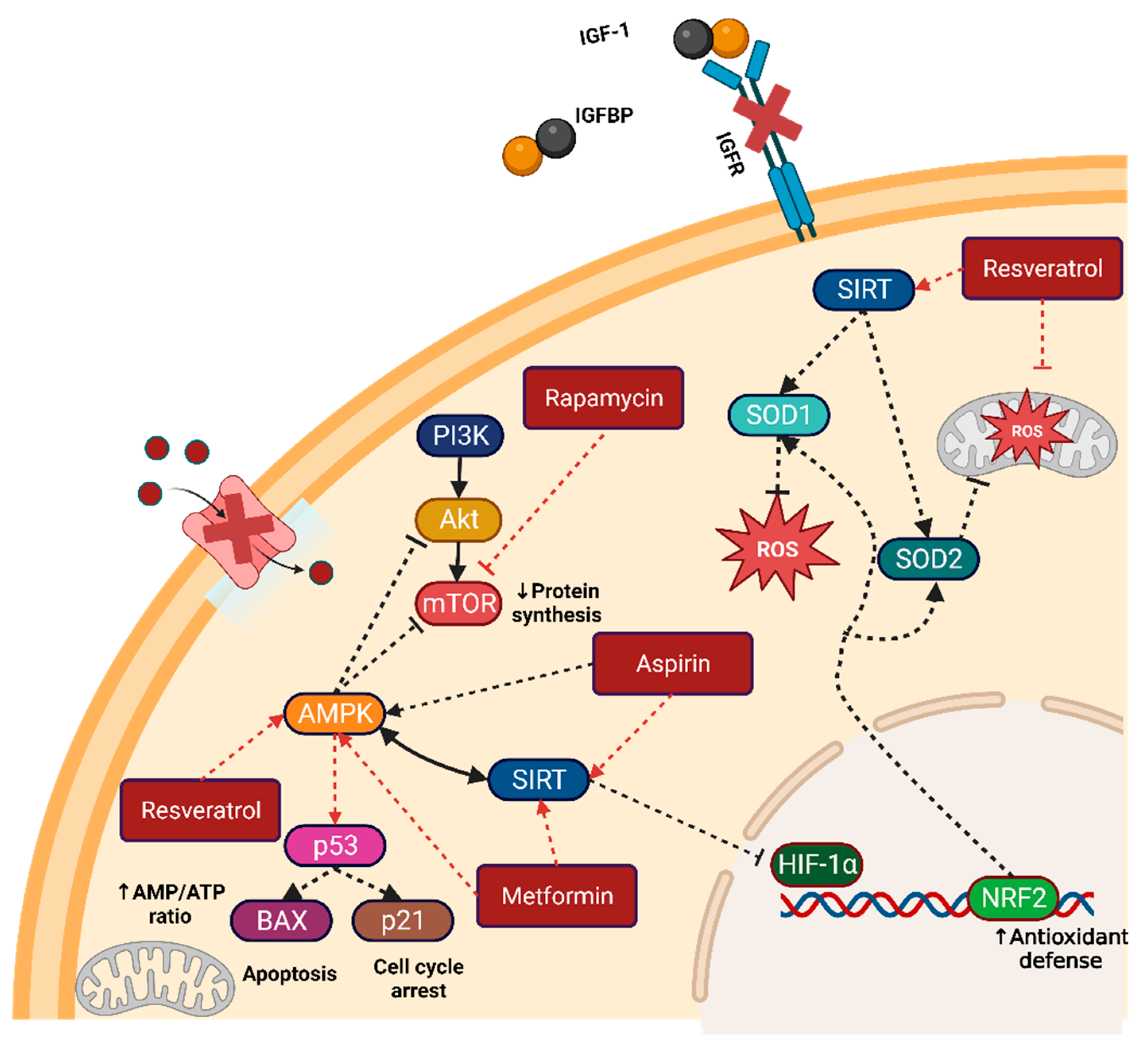 Metabolites 14 00418 g002