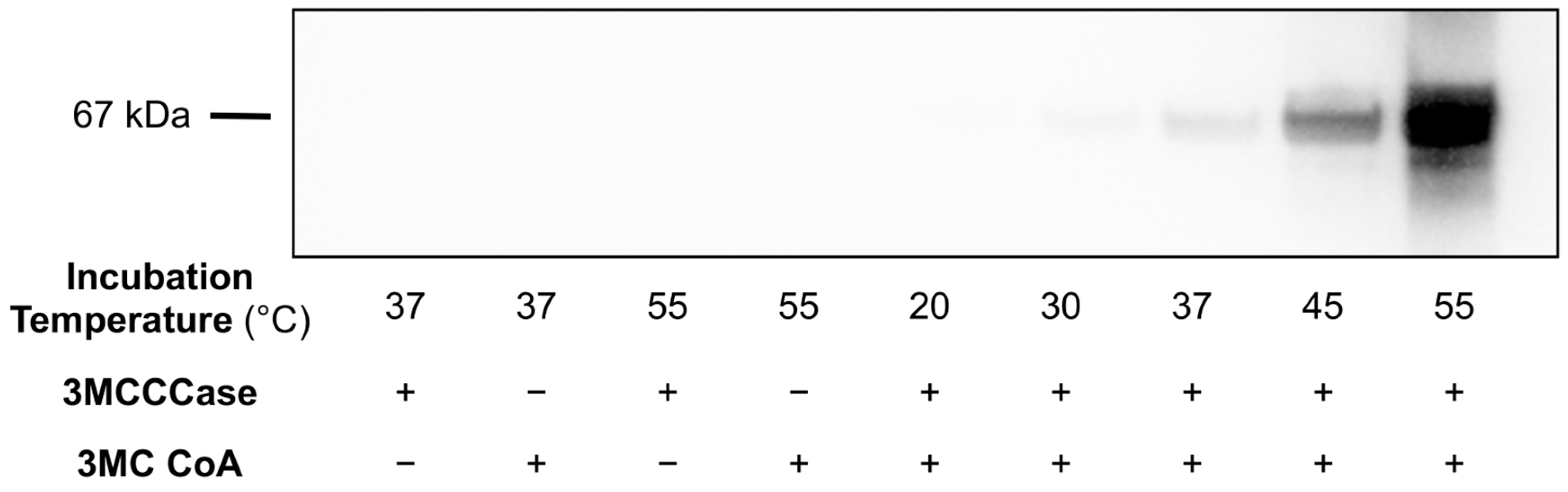 Metabolites 14 00421 g002
