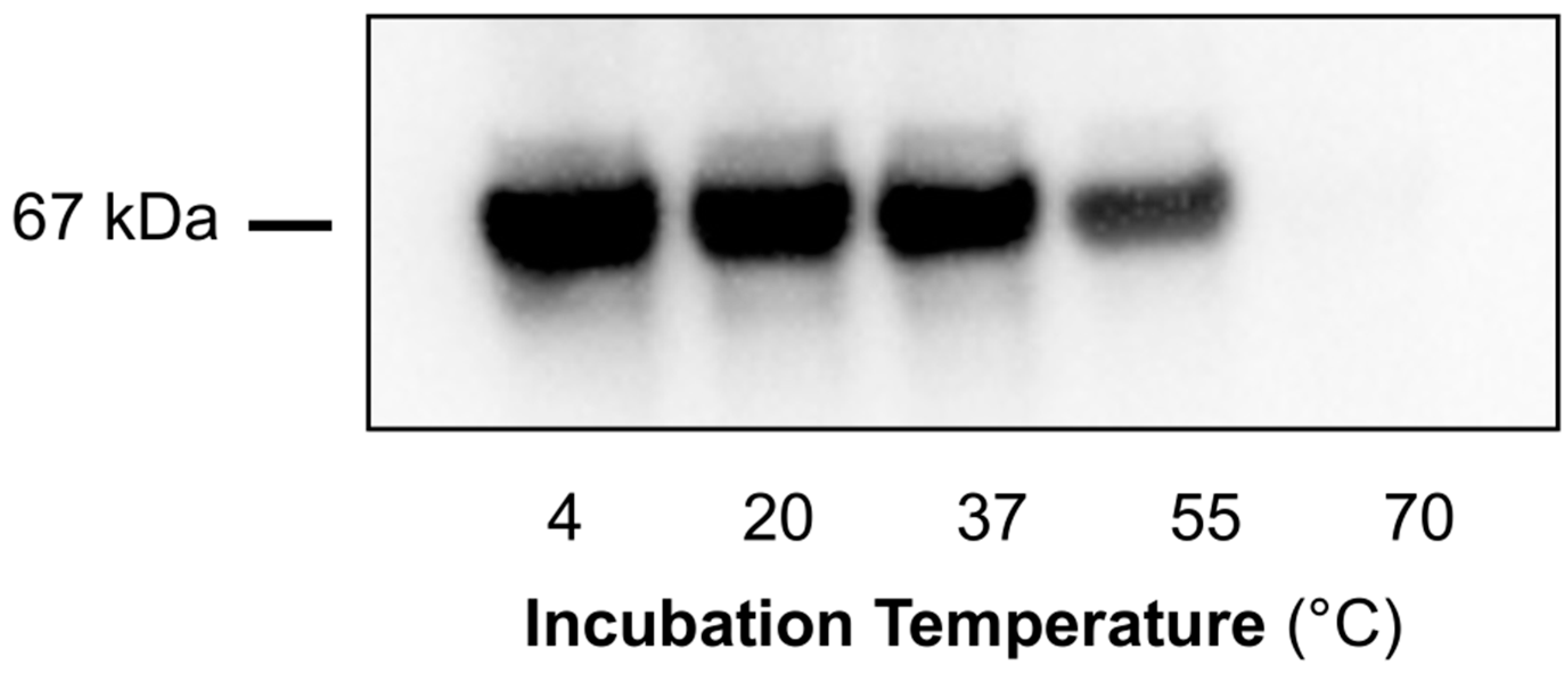 Metabolites 14 00421 g005